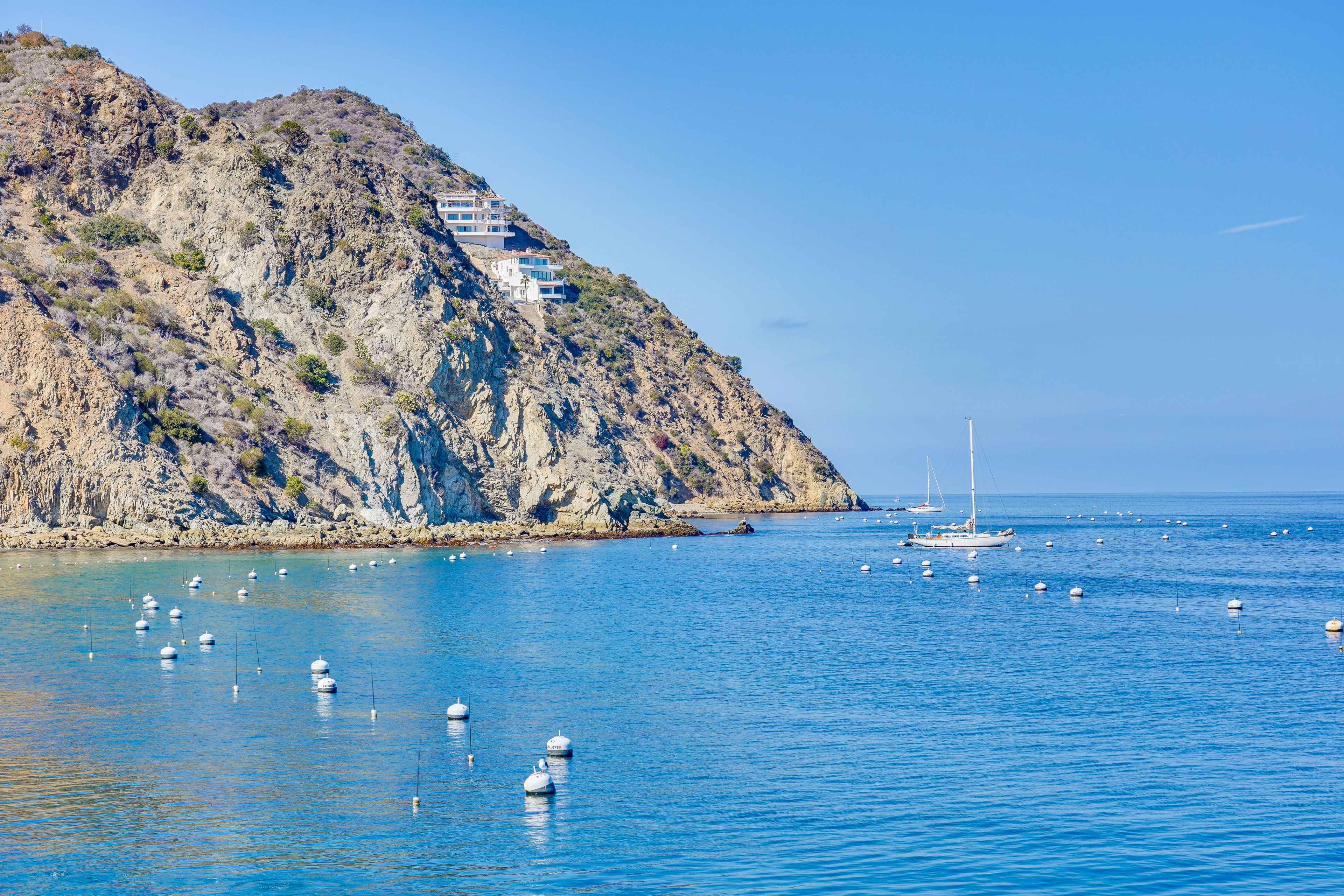 Walk to Beaches & Avalon Bay