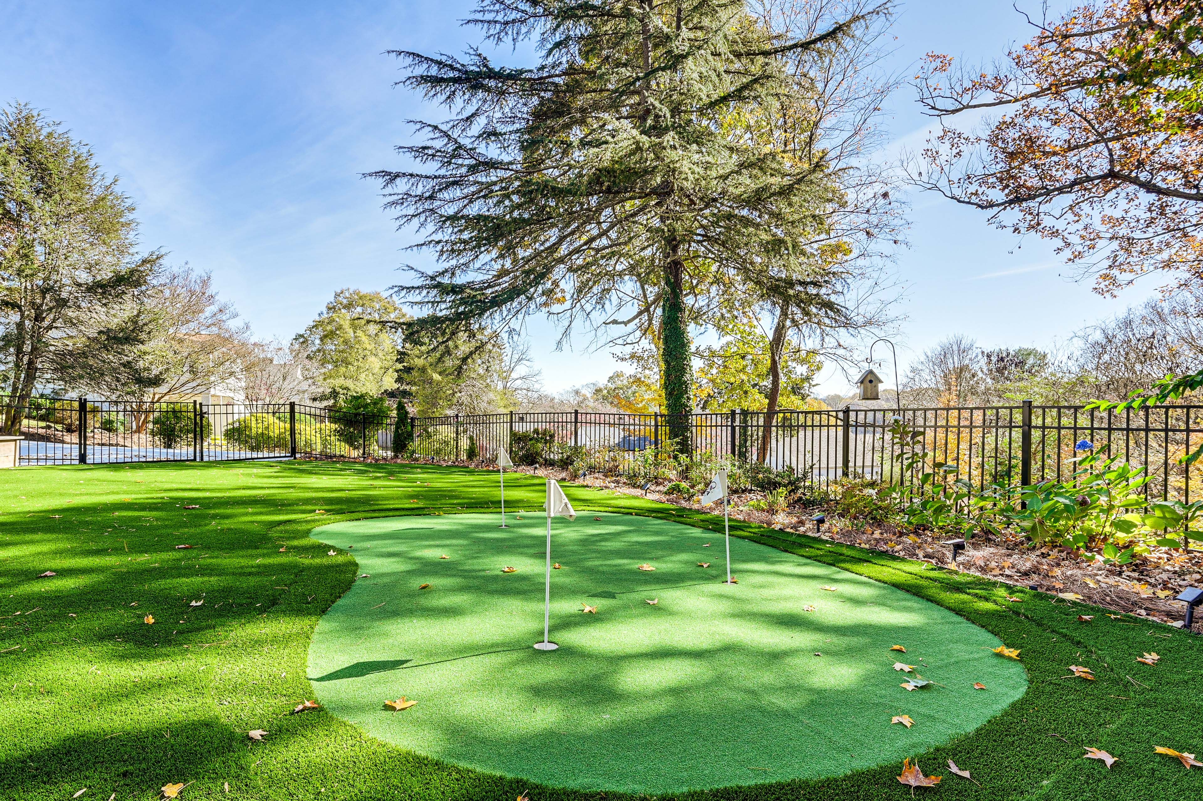 Backyard | Mini Putting Green