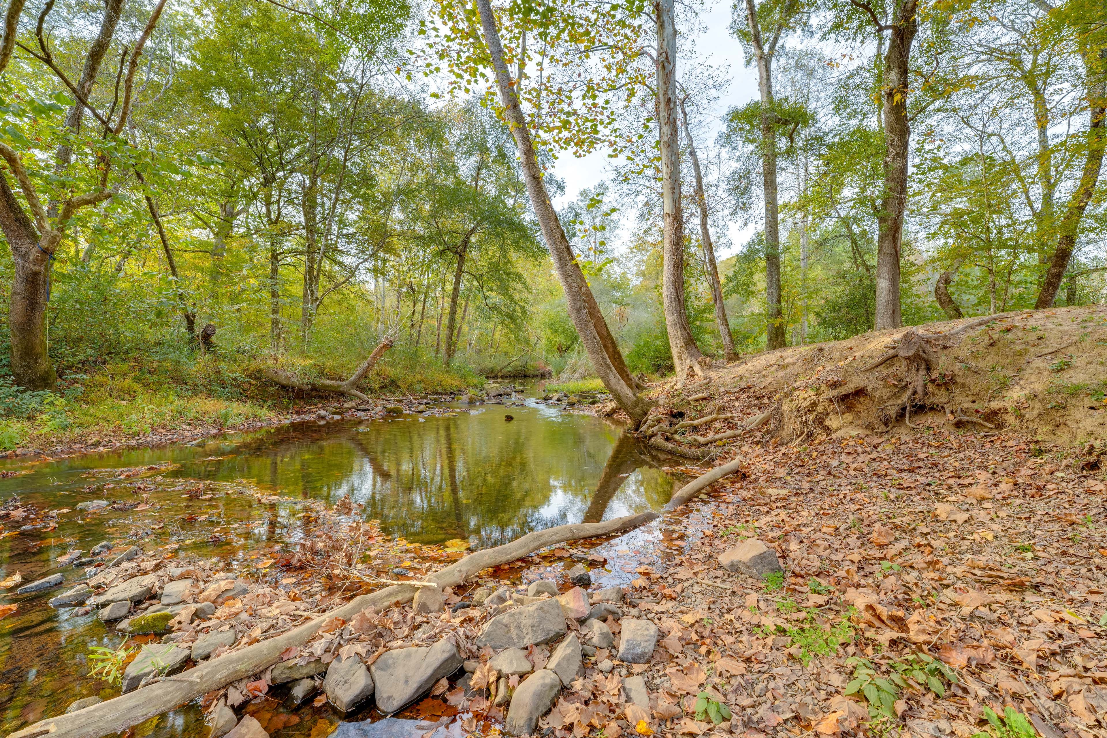 Spacious Yard | On-Site Creek