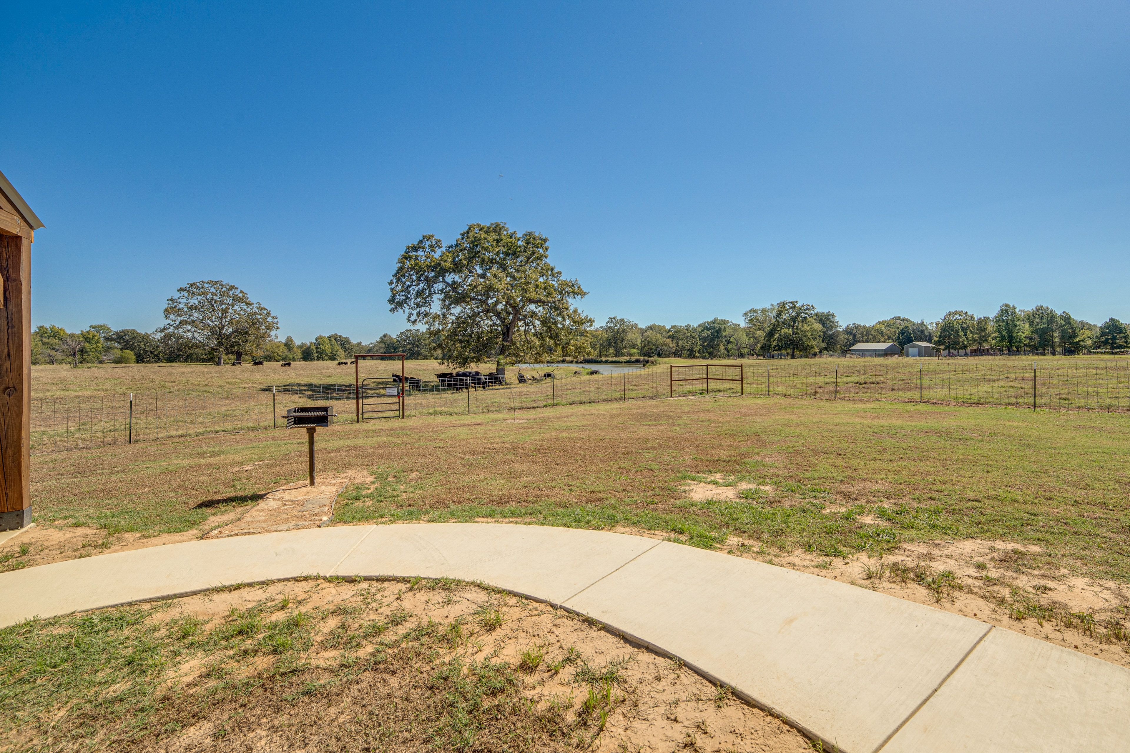Cattle & Pond Views