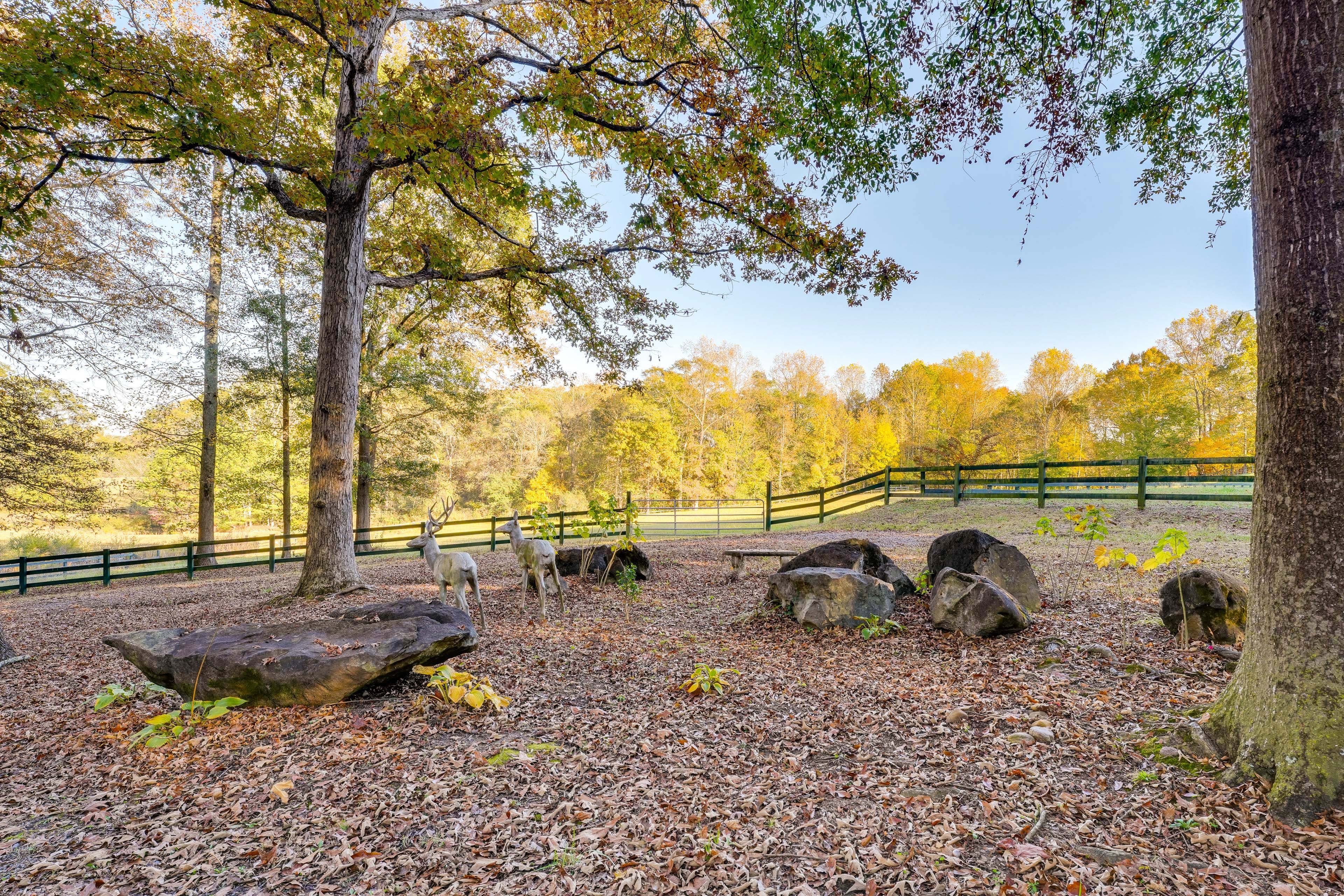 Large Private Property