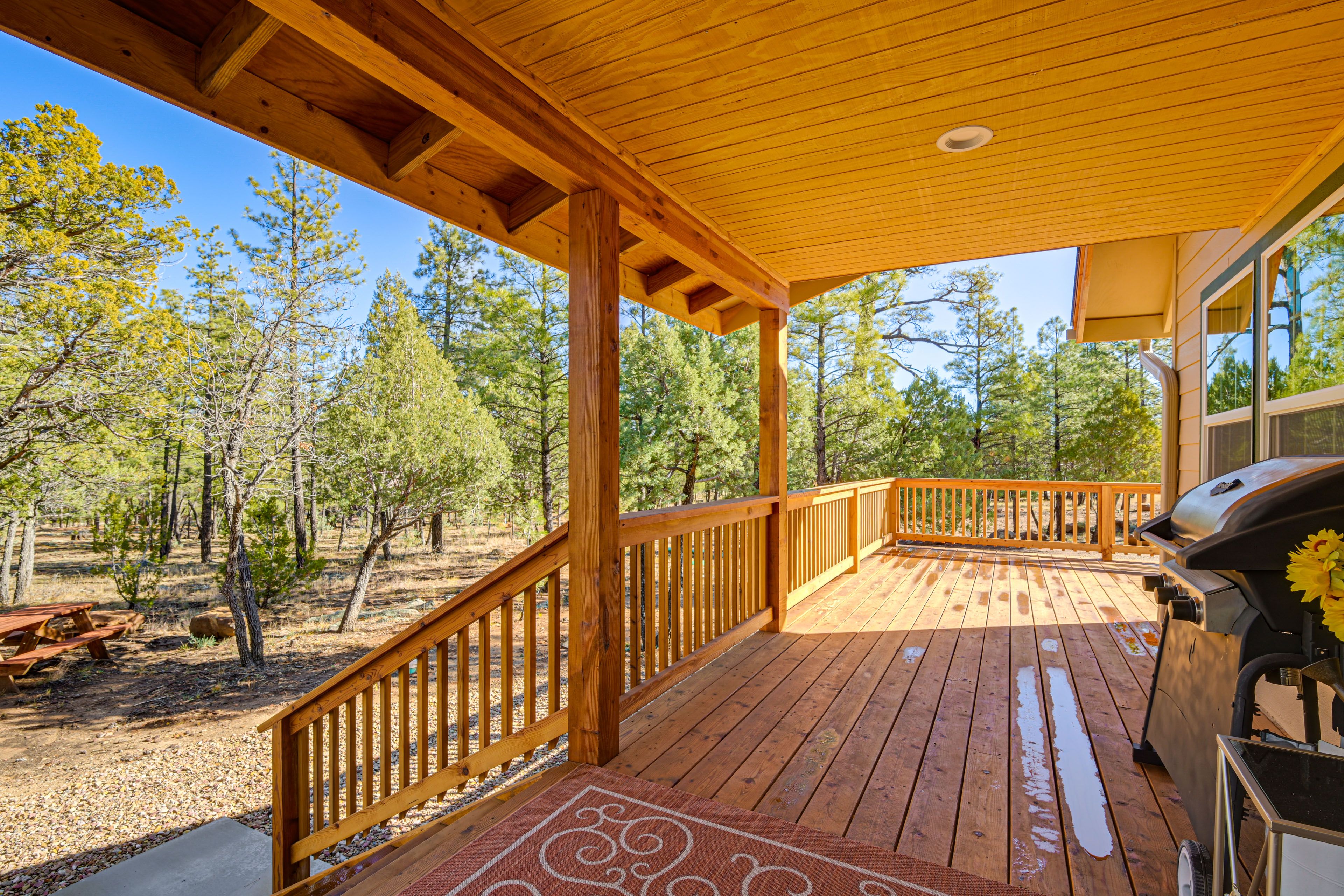 Deck | Gas Grill (Propane Provided)