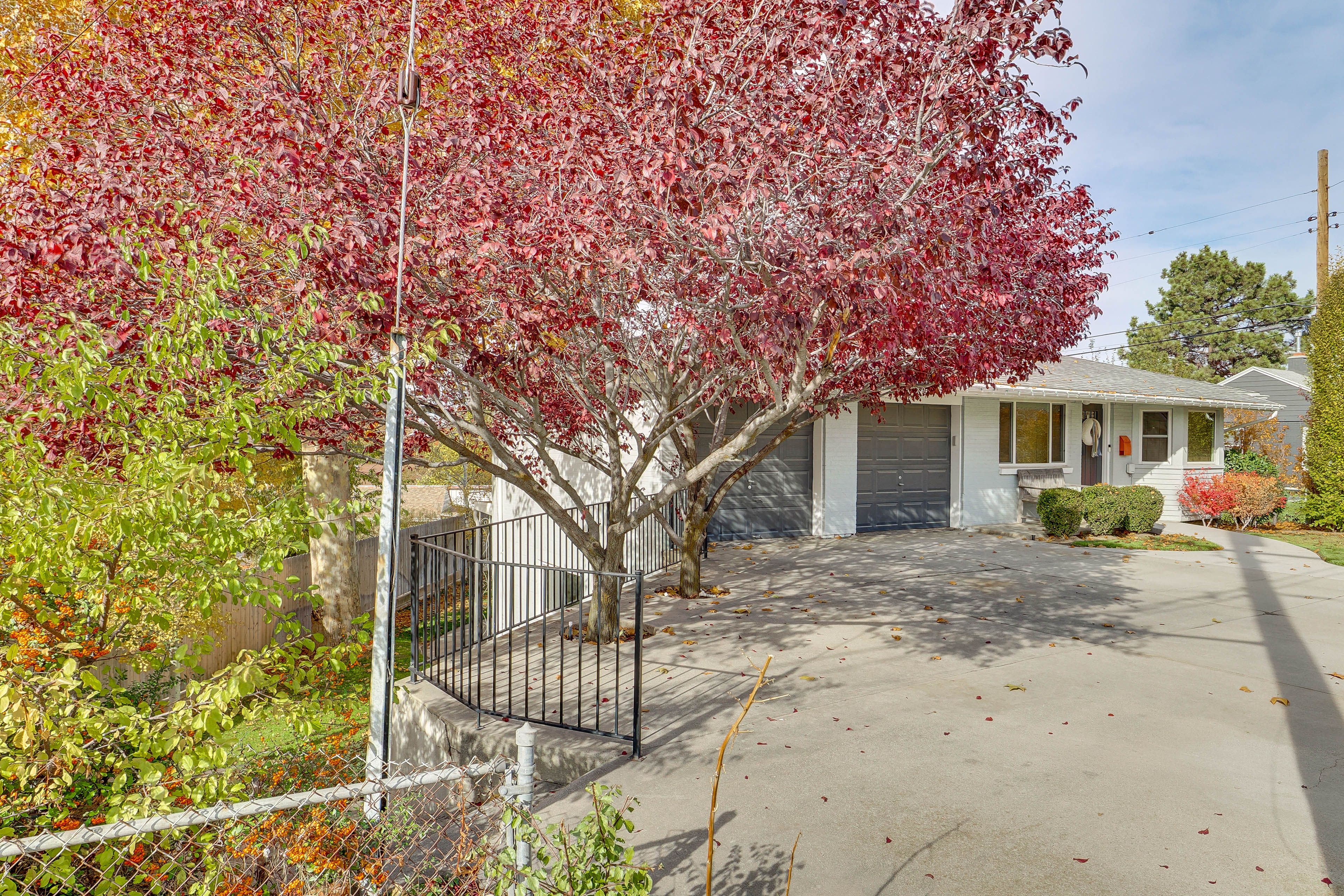 Parking | Shared Driveway (1 Vehicle) | Free Street Parking