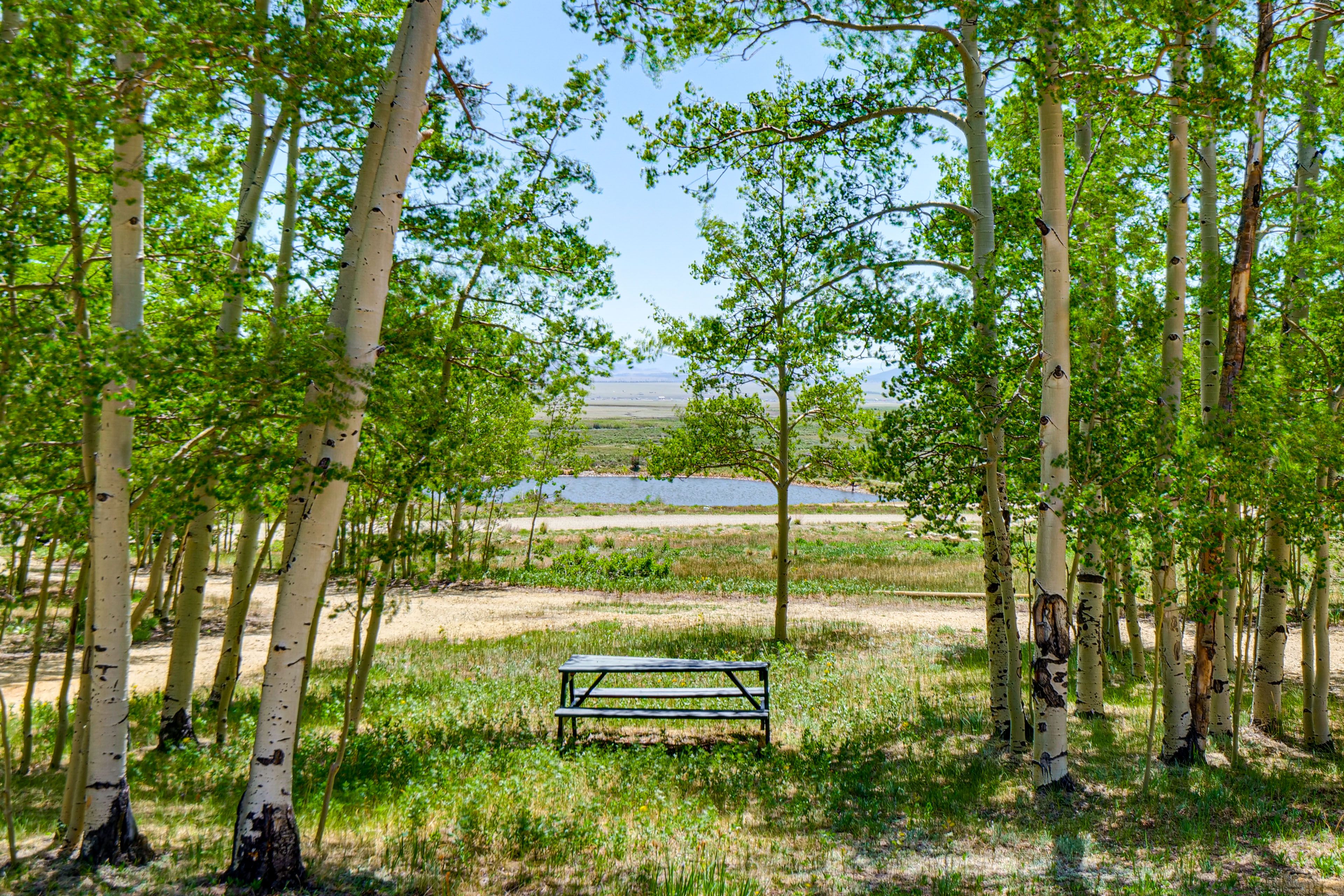 Picnic Table | Views