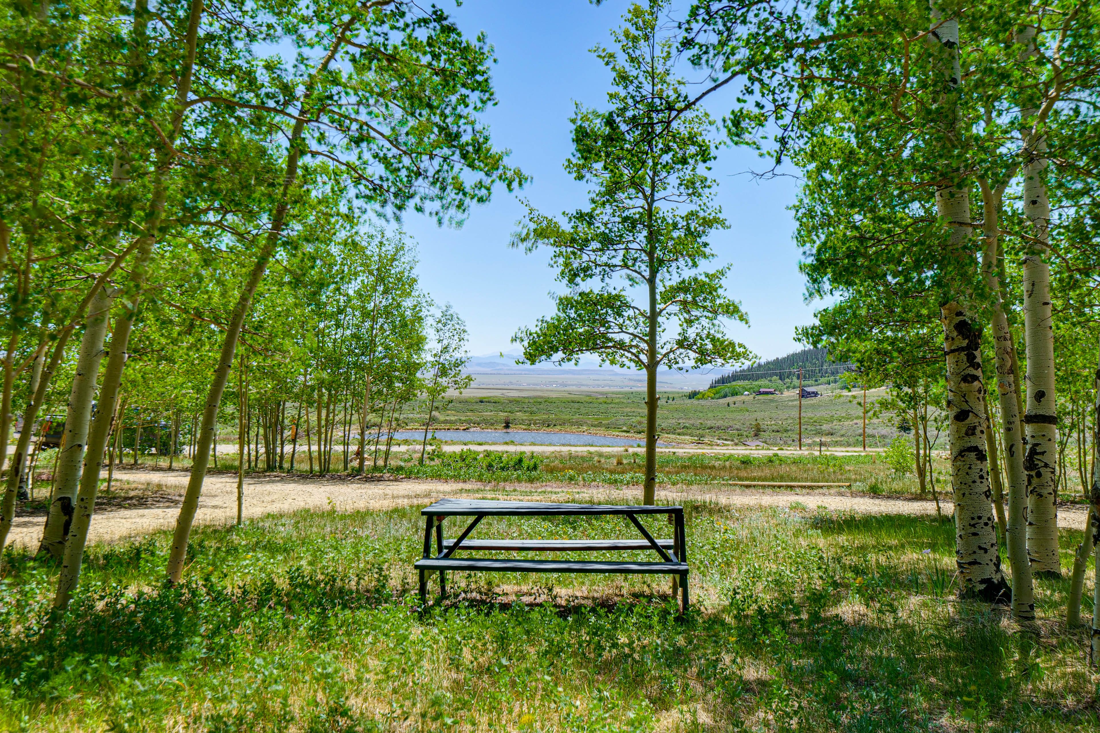 Pond & Mountain Views