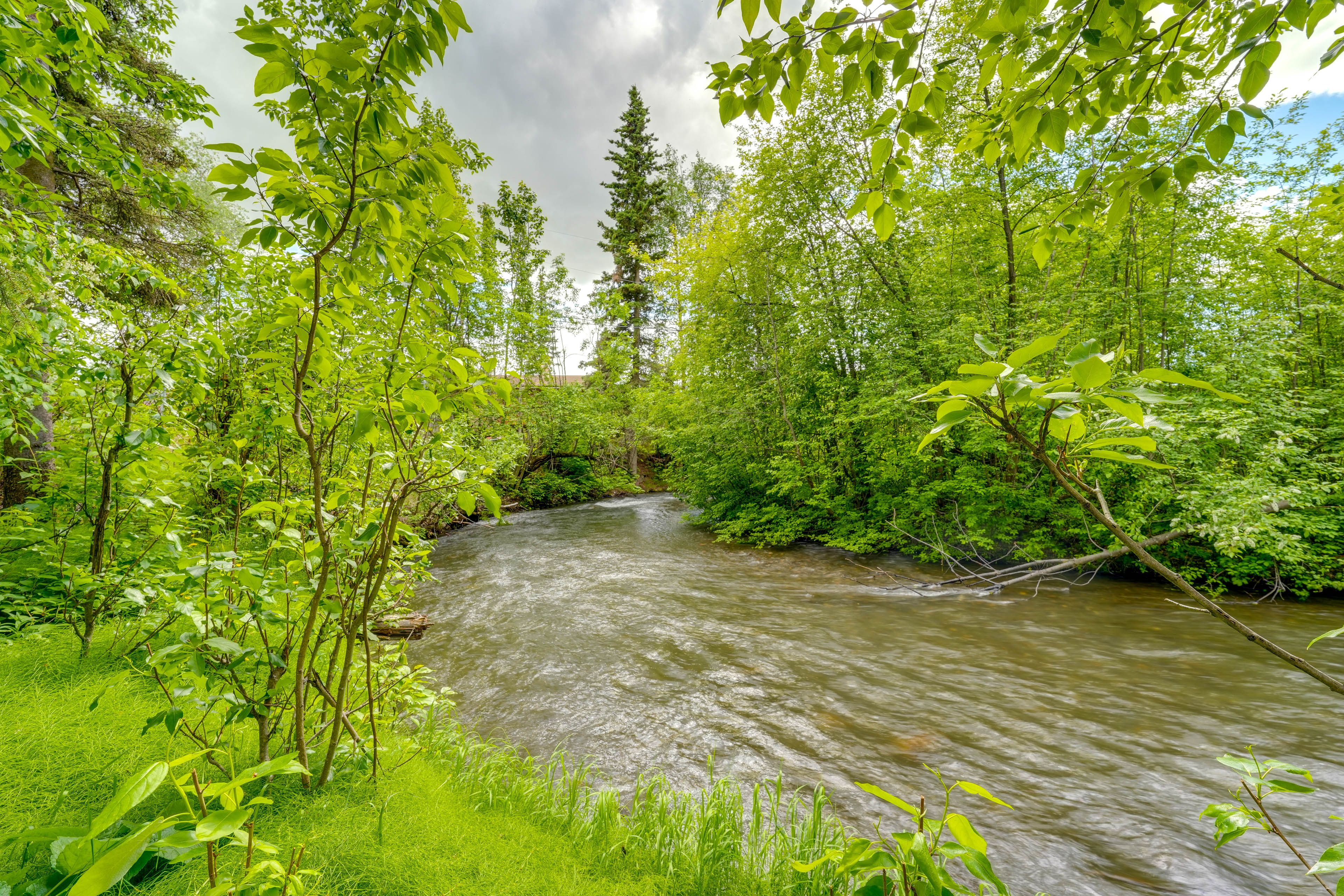 Image 26