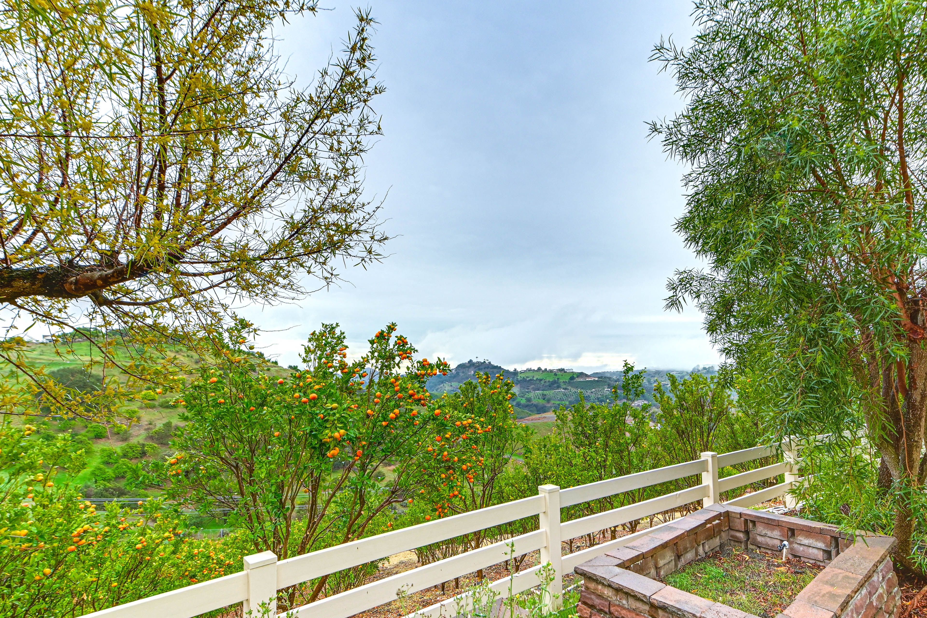 View From Property | Fruit Trees On-Site