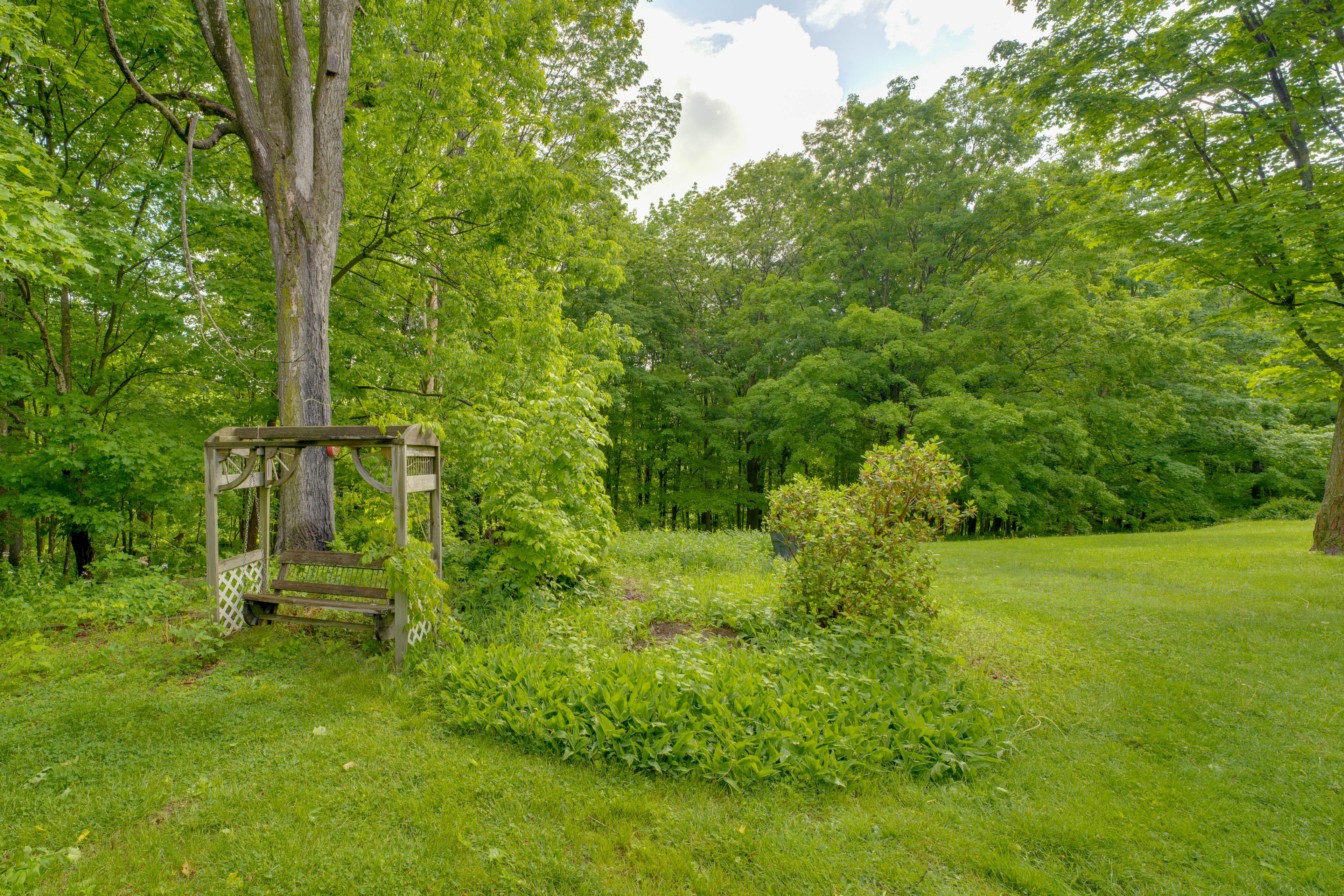 Image 26