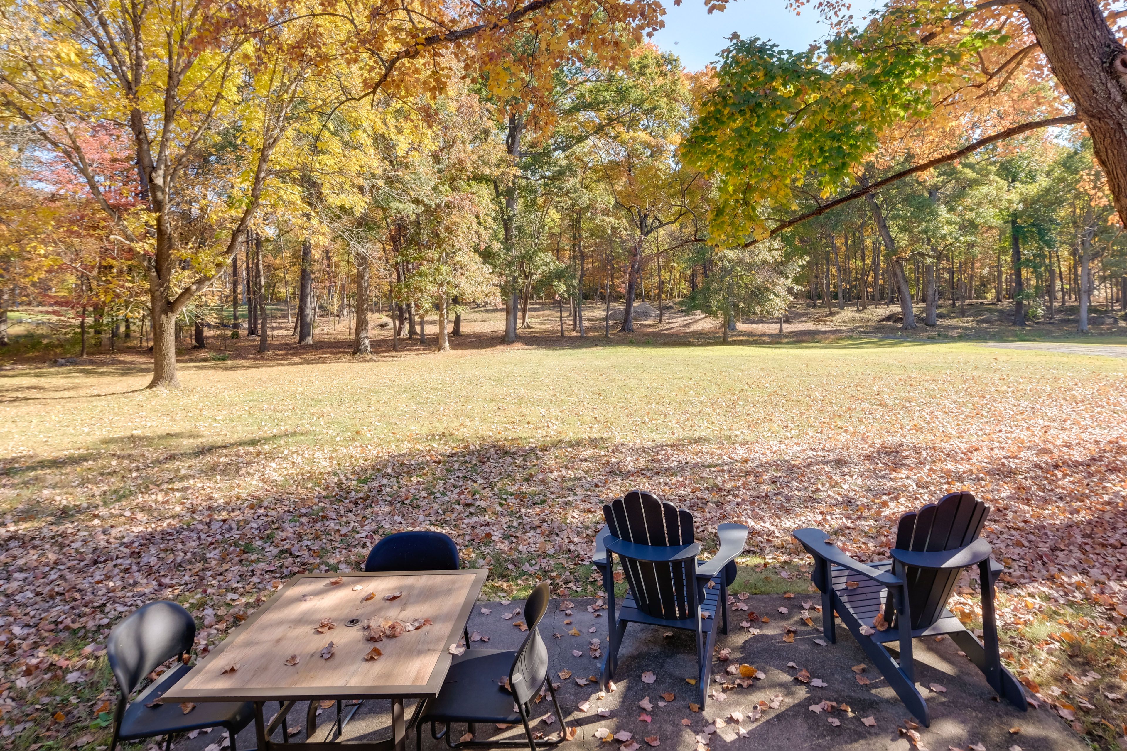 Private Backyard Area