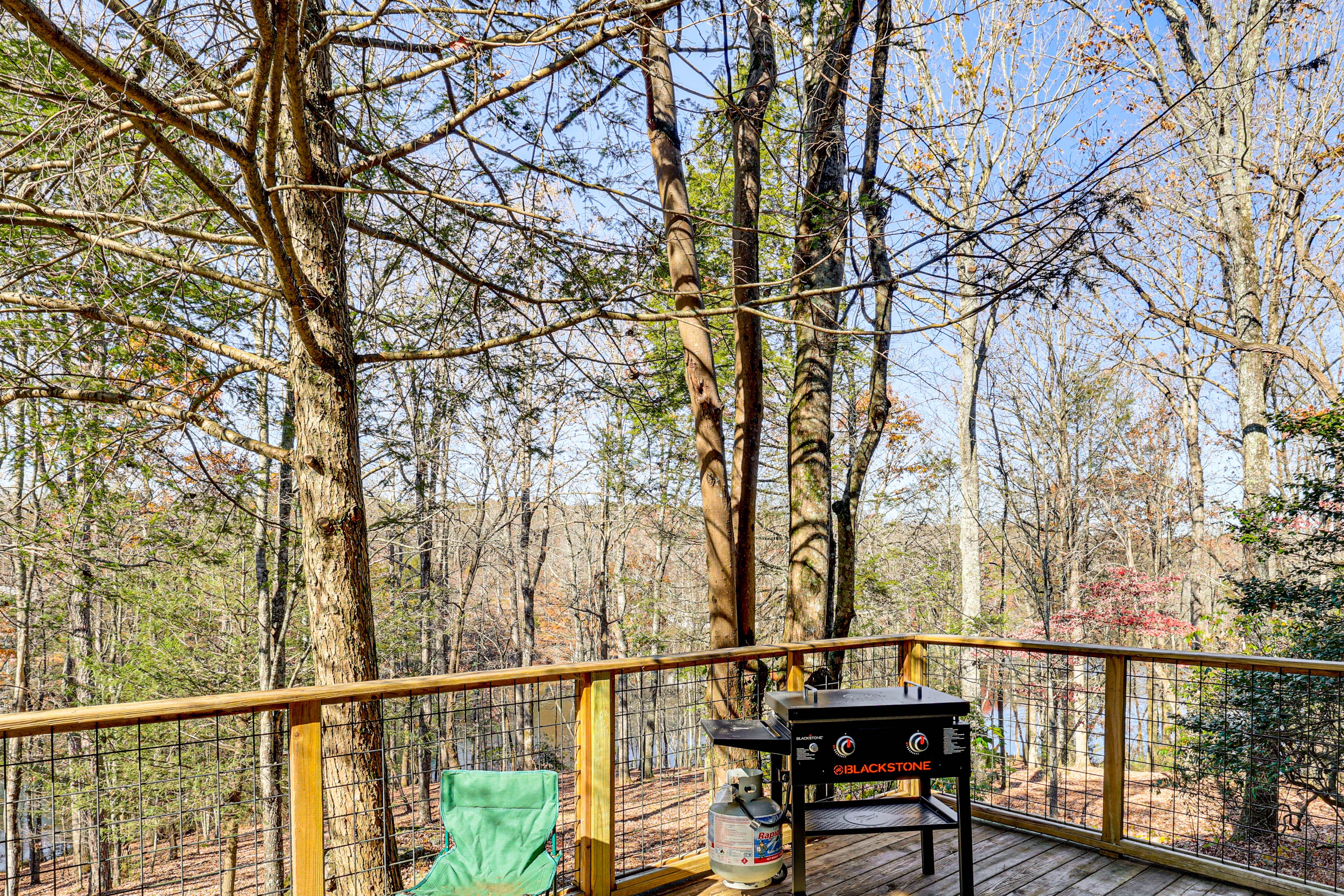 Deck | Lake & Forest Views