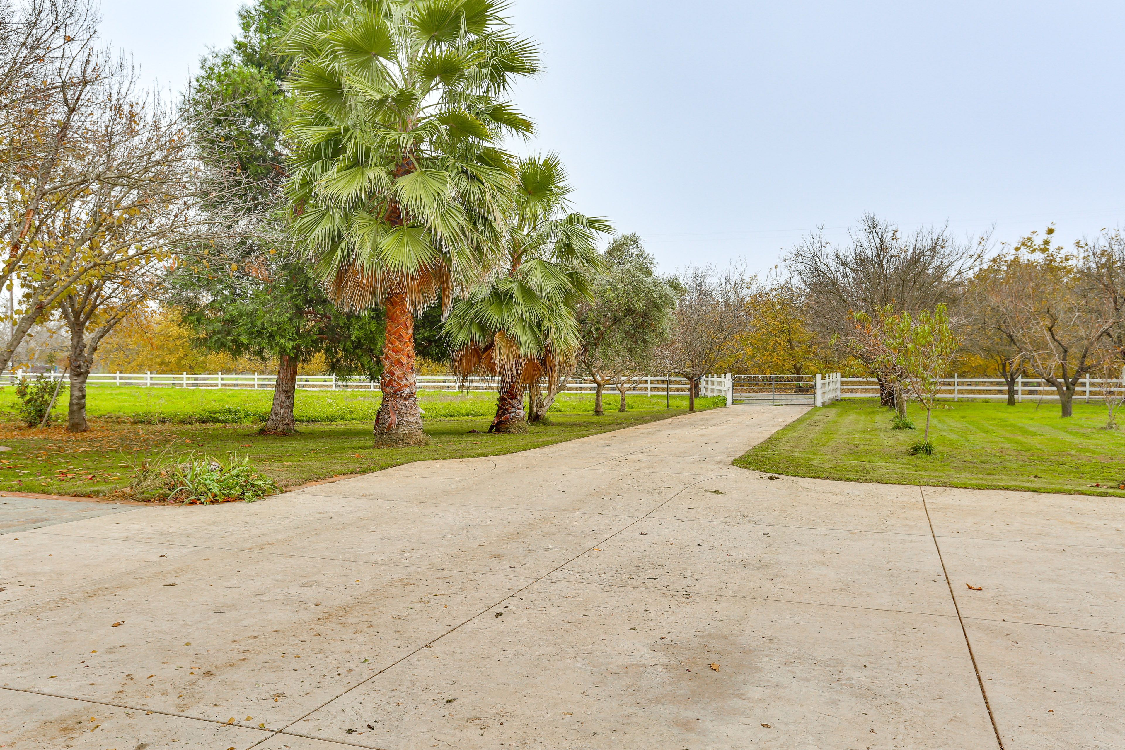 Surrounding Property