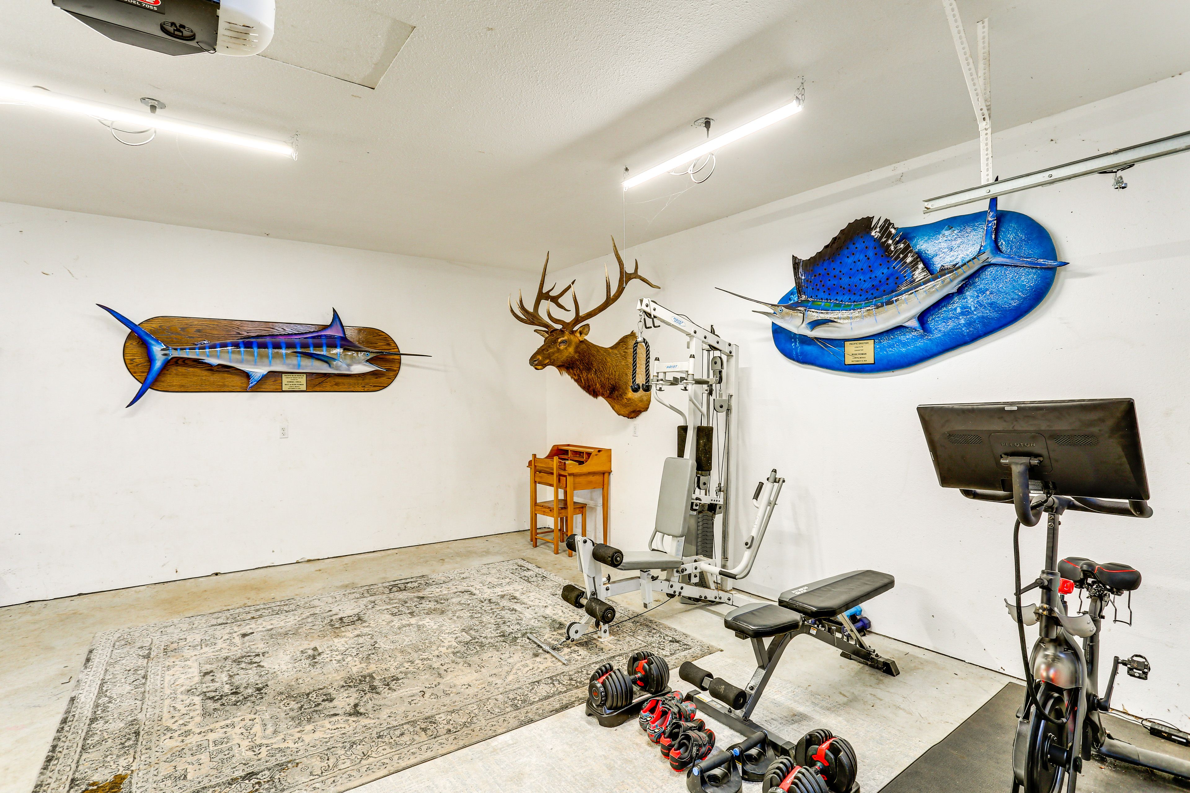 Garage Gym