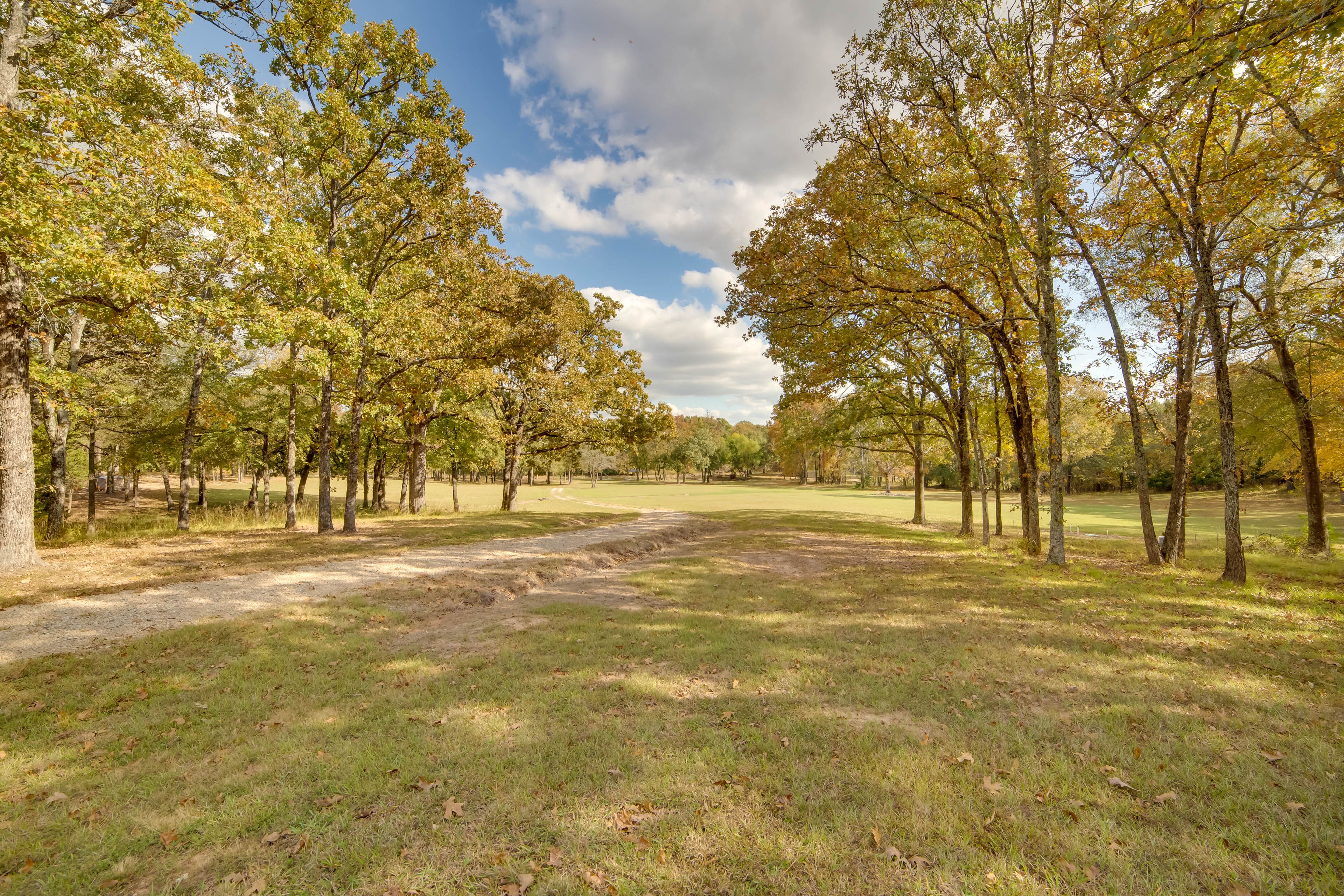 Private Road to Boat Ramp & Dock on Lake Fork