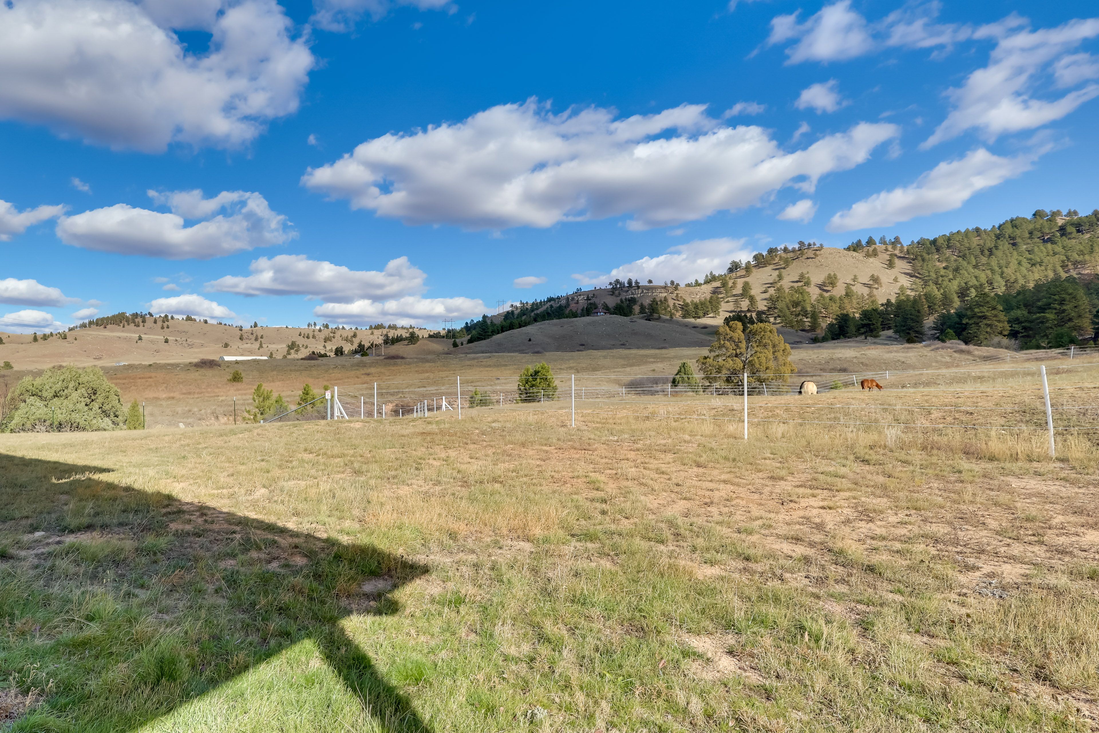 Mountain & Pasture Views | Horses On-Site