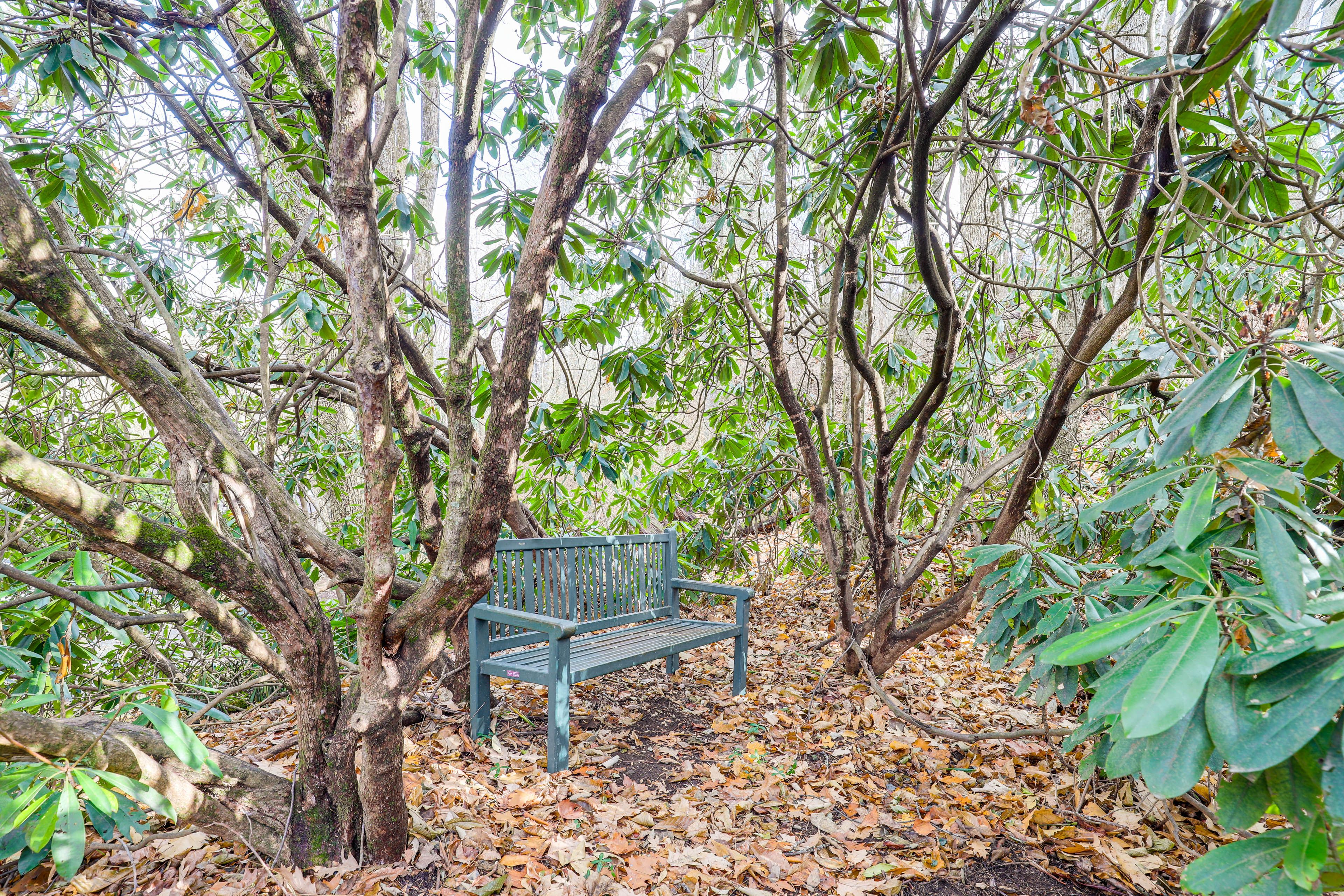 Property Surroundings