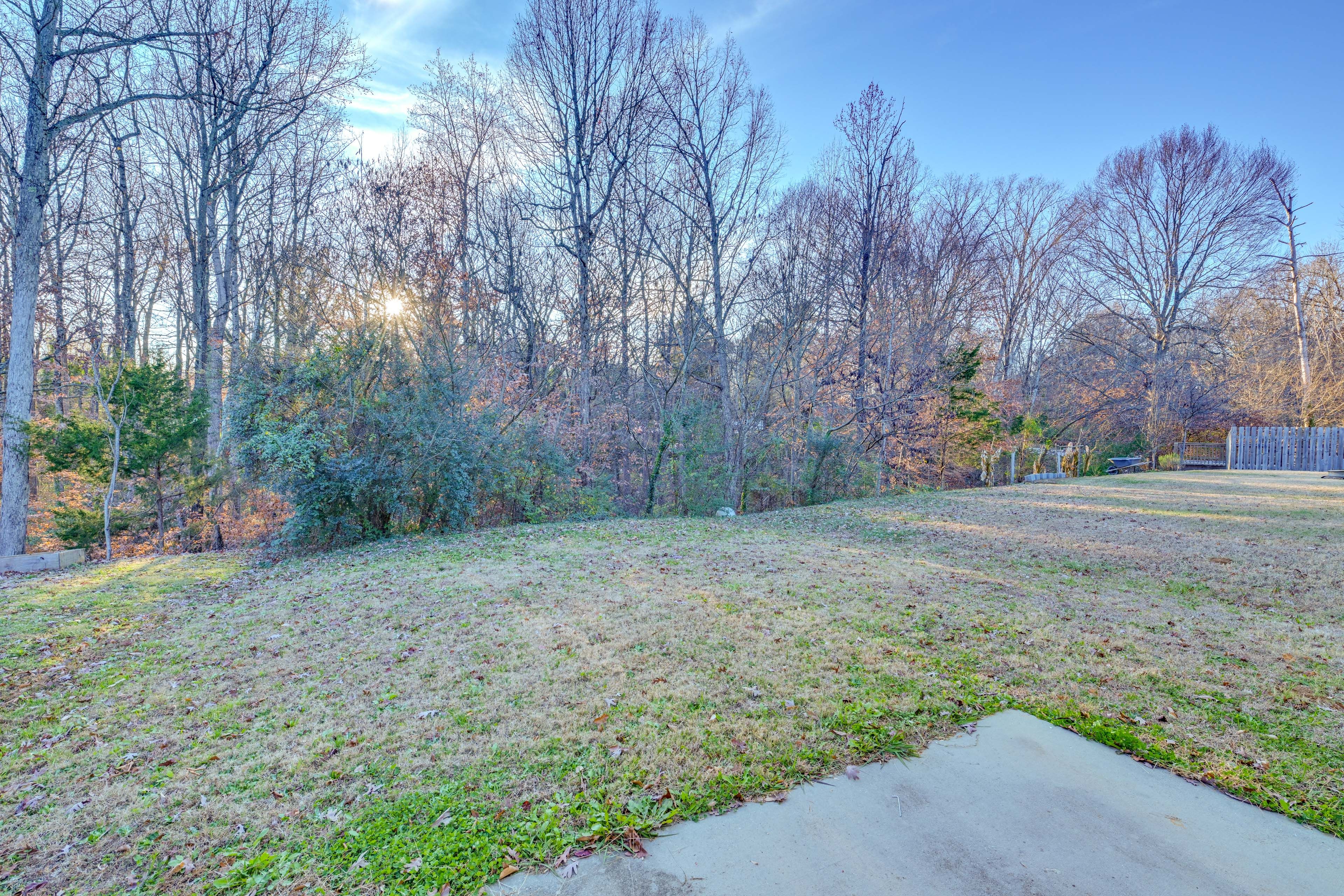 Backyard w/ Forested Views