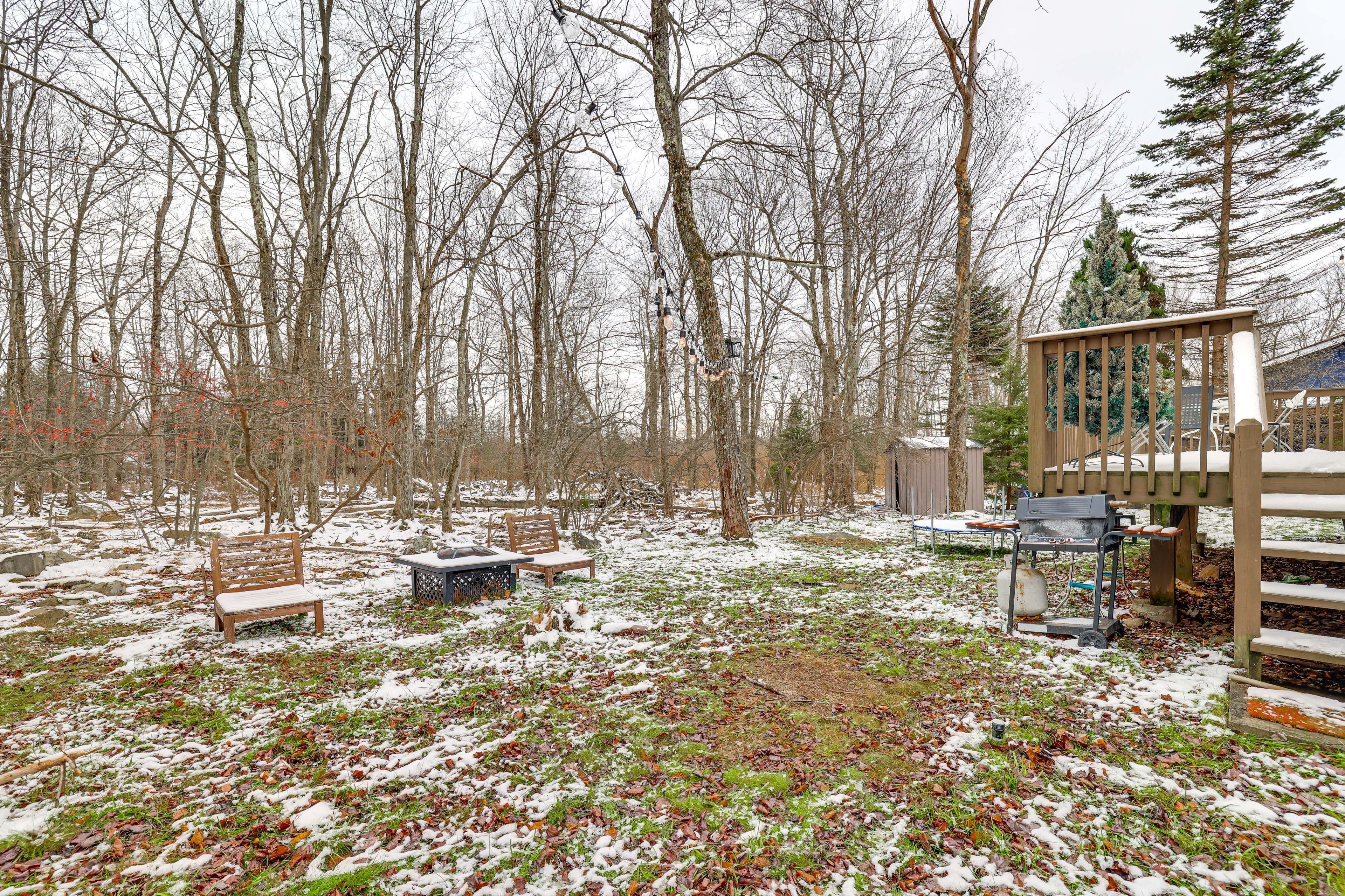 Backyard | Pellet Fire Pit | Charcoal Grill