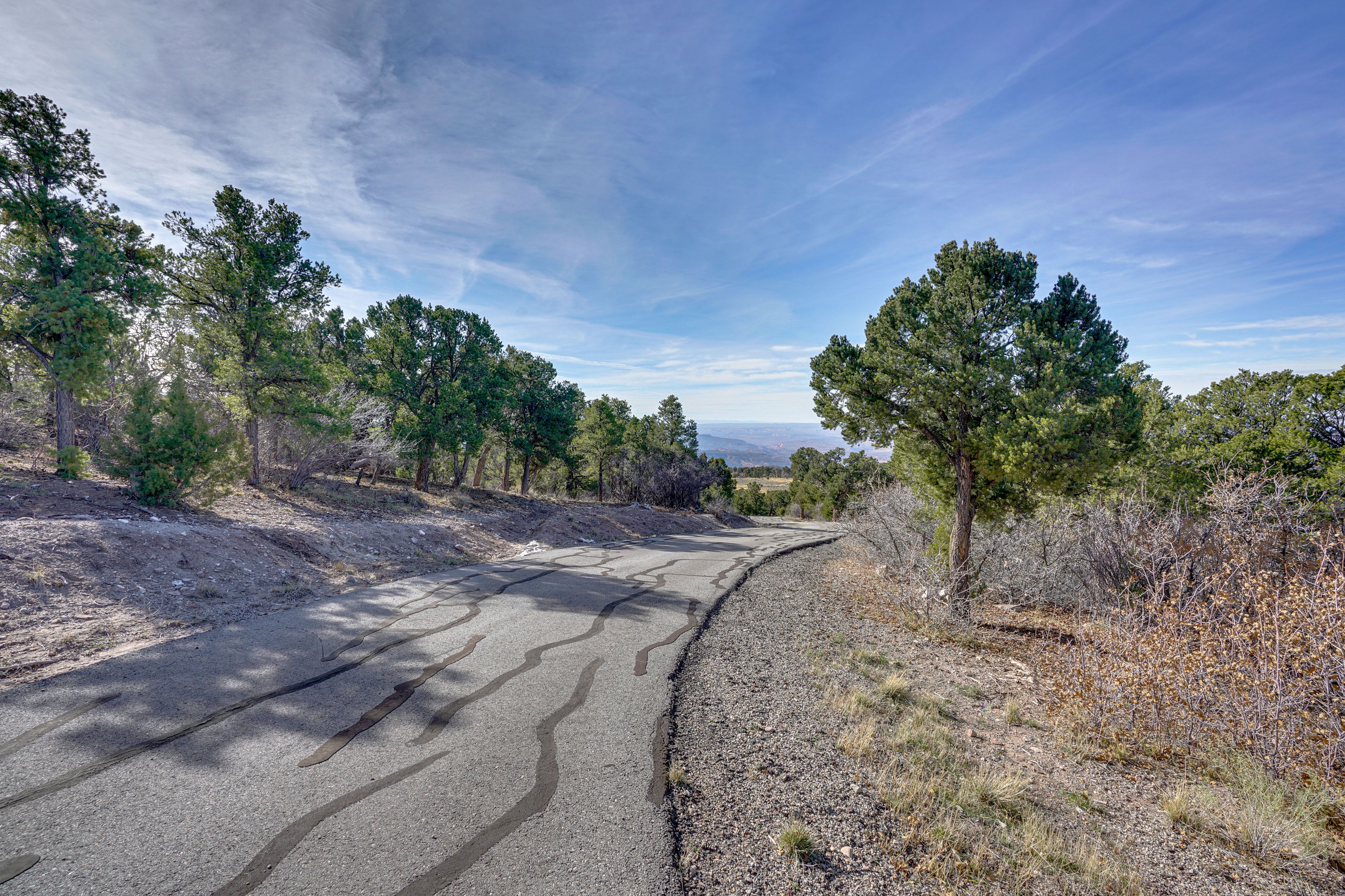 Driveway to Access Property