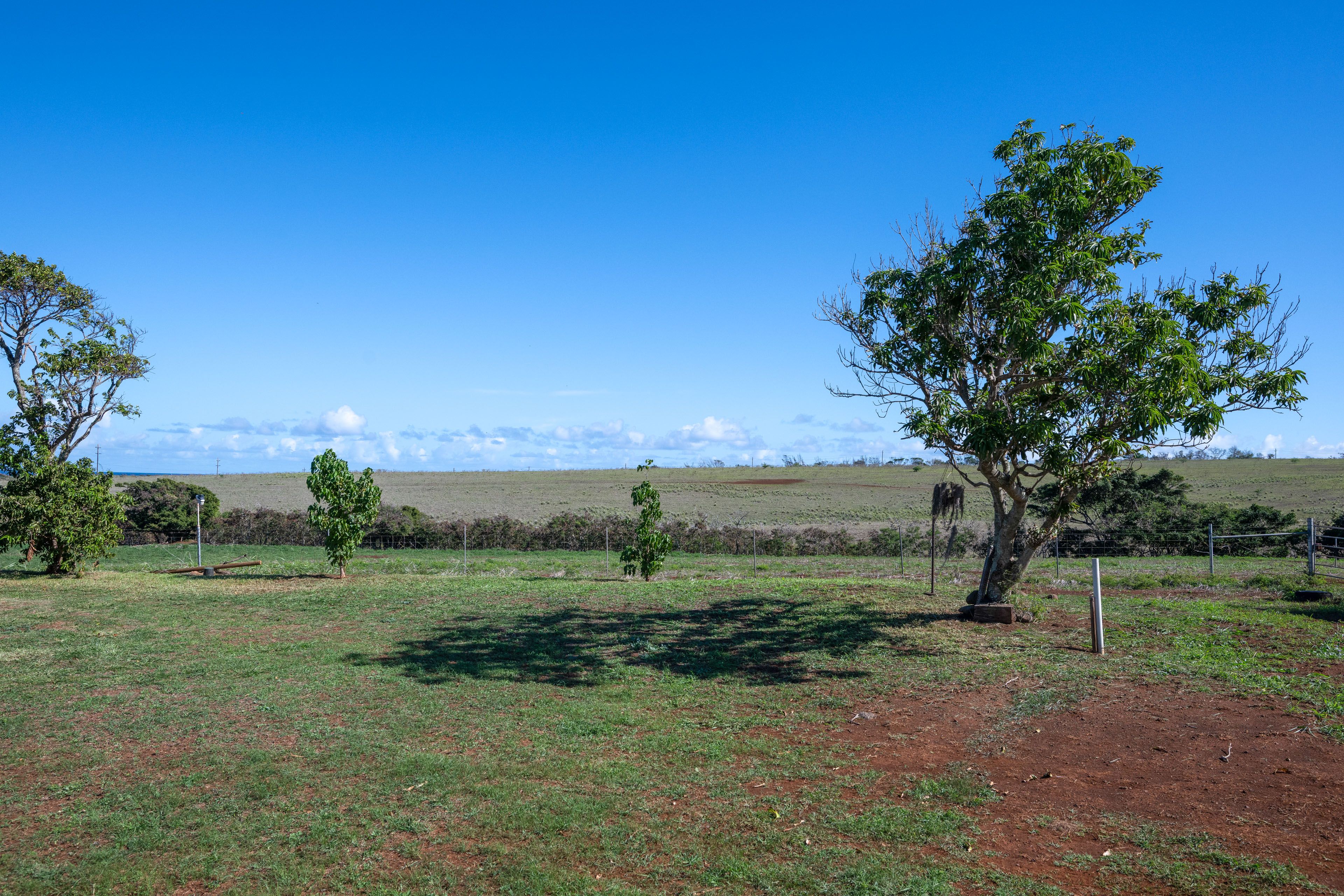 Surrounding Property