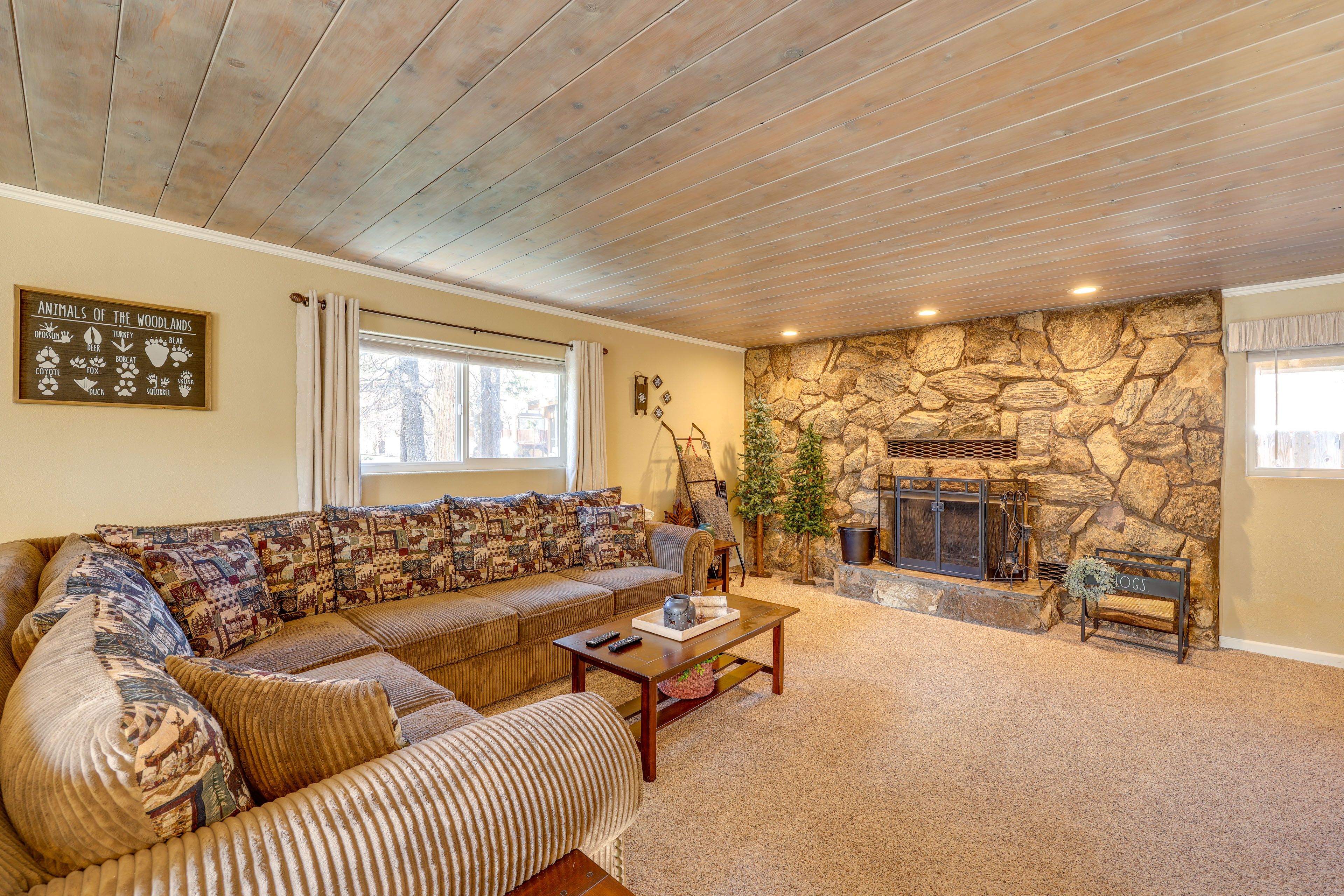 Living Room | 1st Floor | Queen Sleeper Sofa | Fireplace | Free WiFi