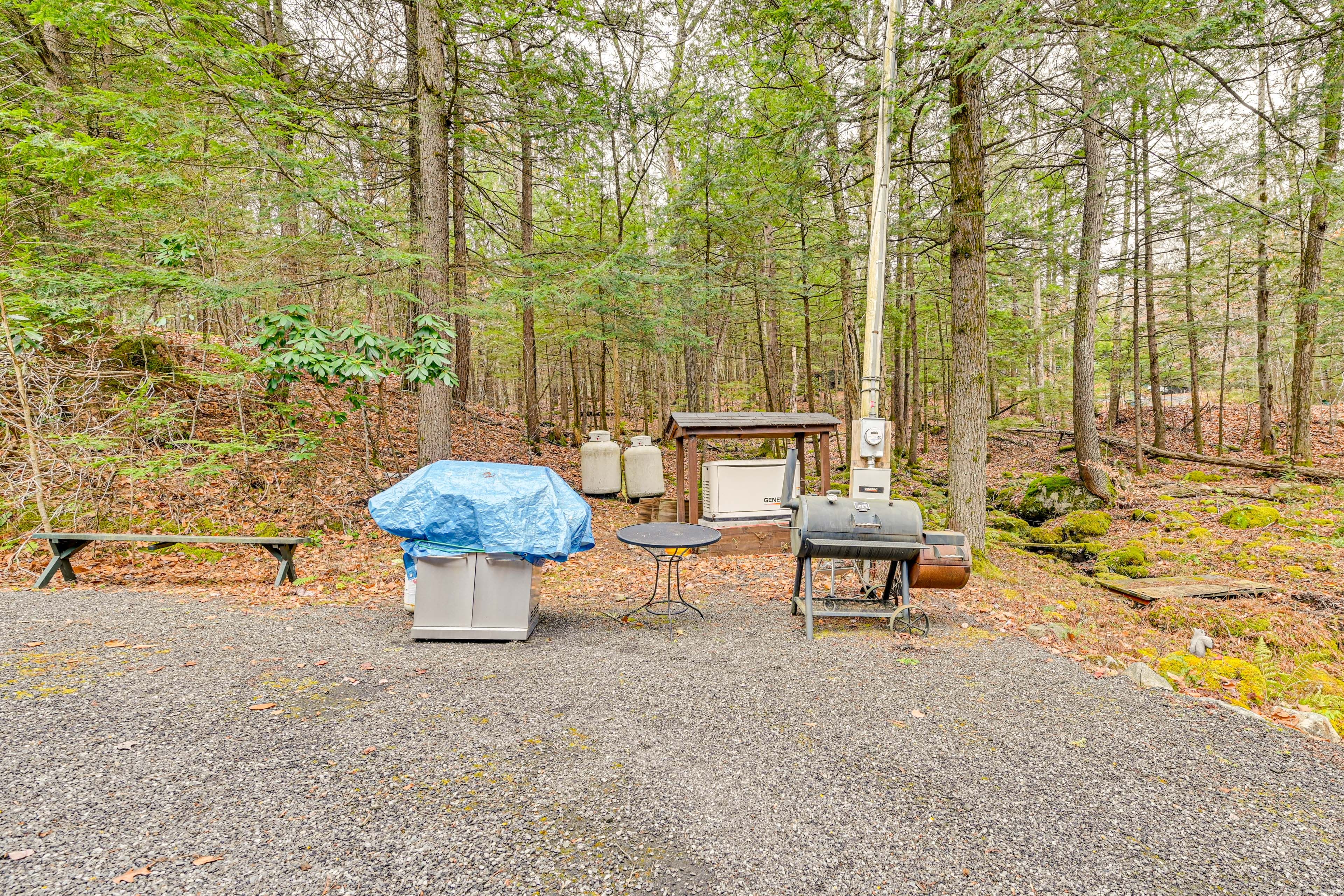 Charcoal & Gas Grills