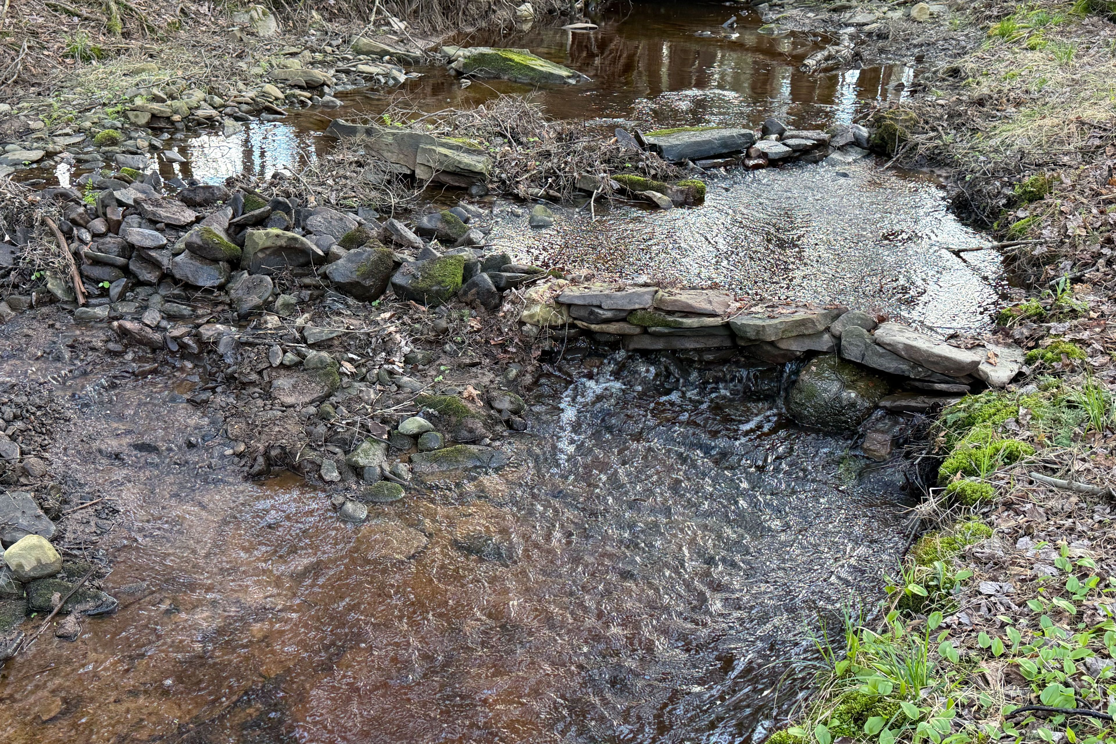 Image 29