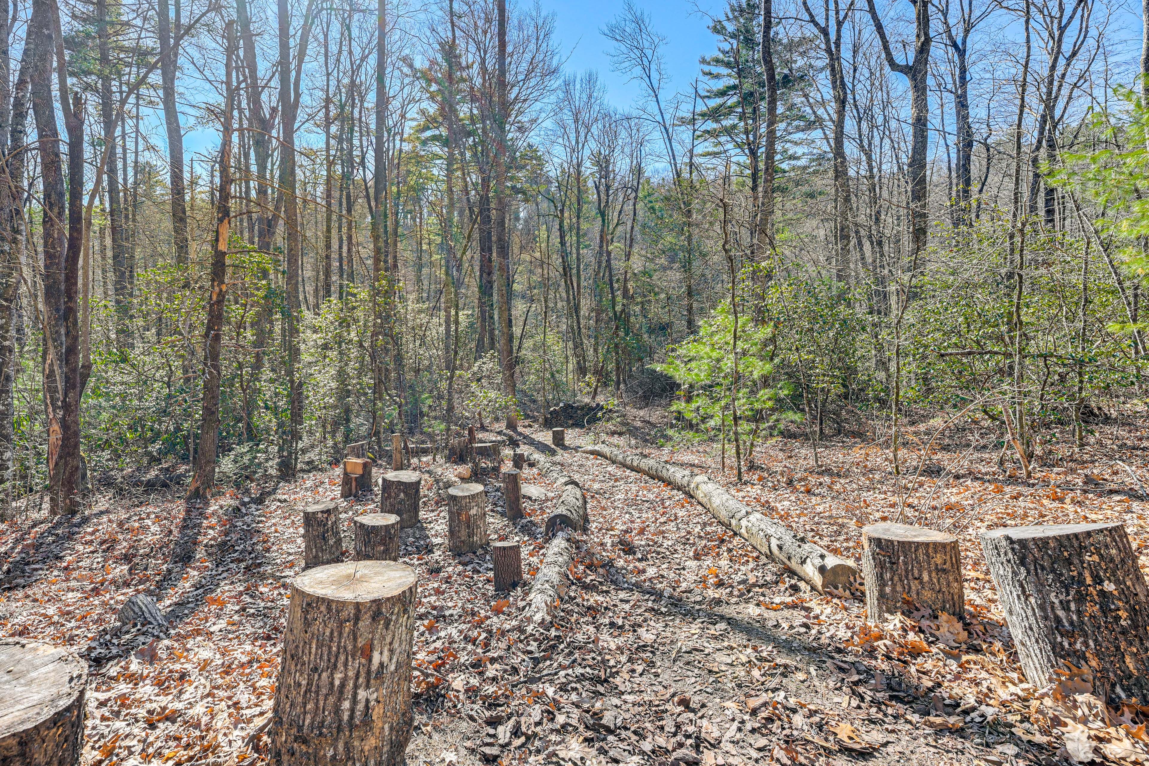 Trail to River Access