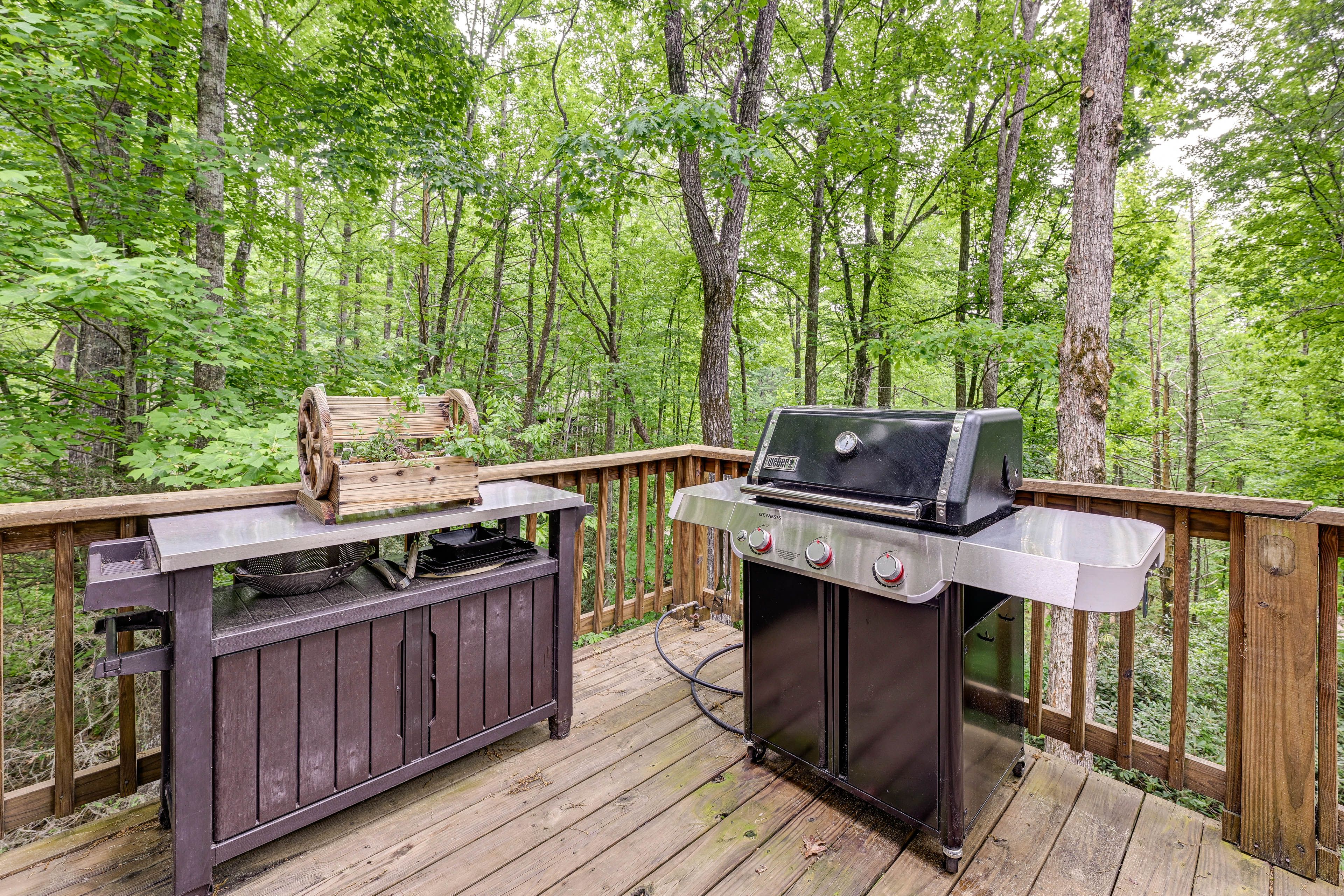 Deck | Gas Grill