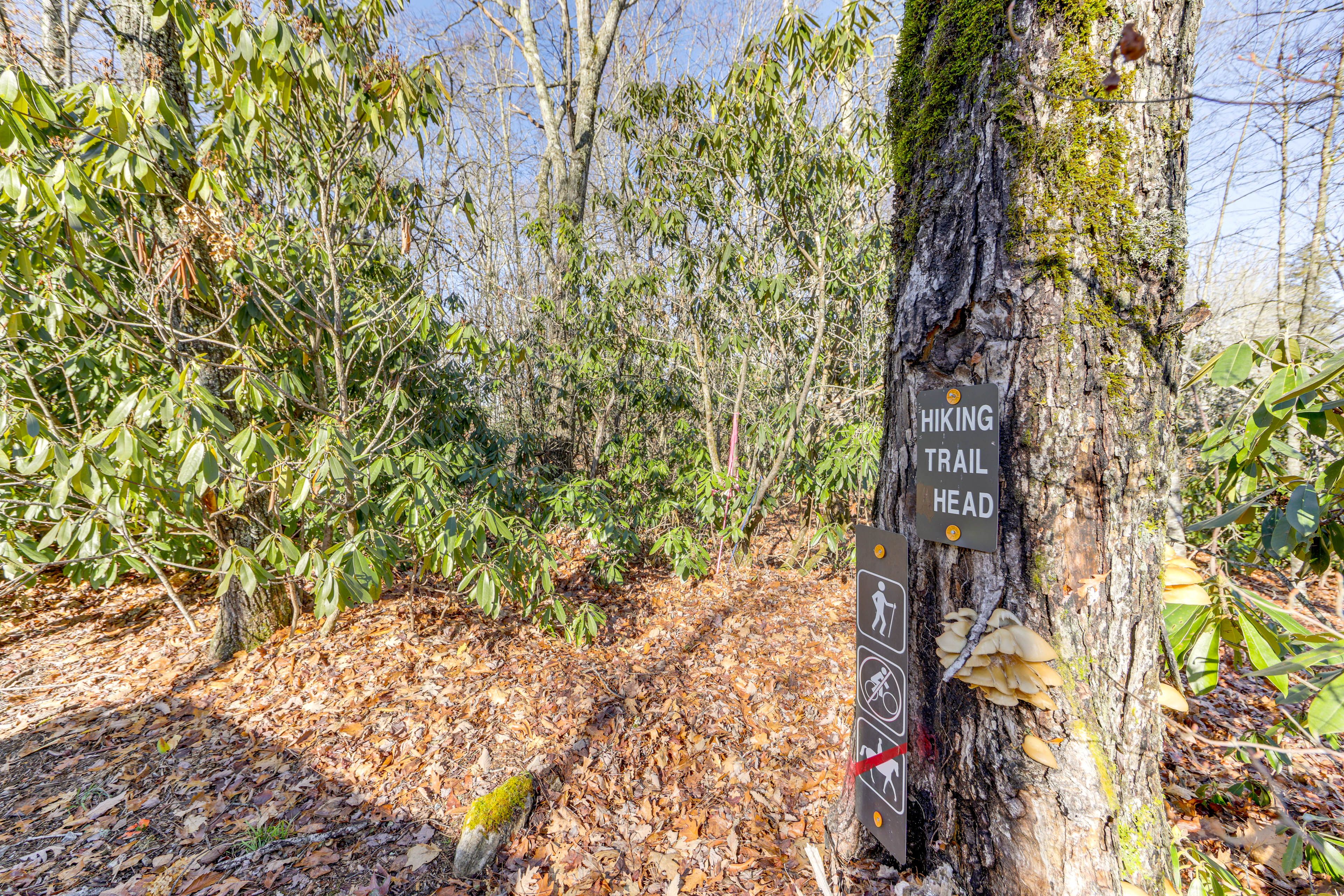Cabin Exterior | Hiking Trail Access On-Site