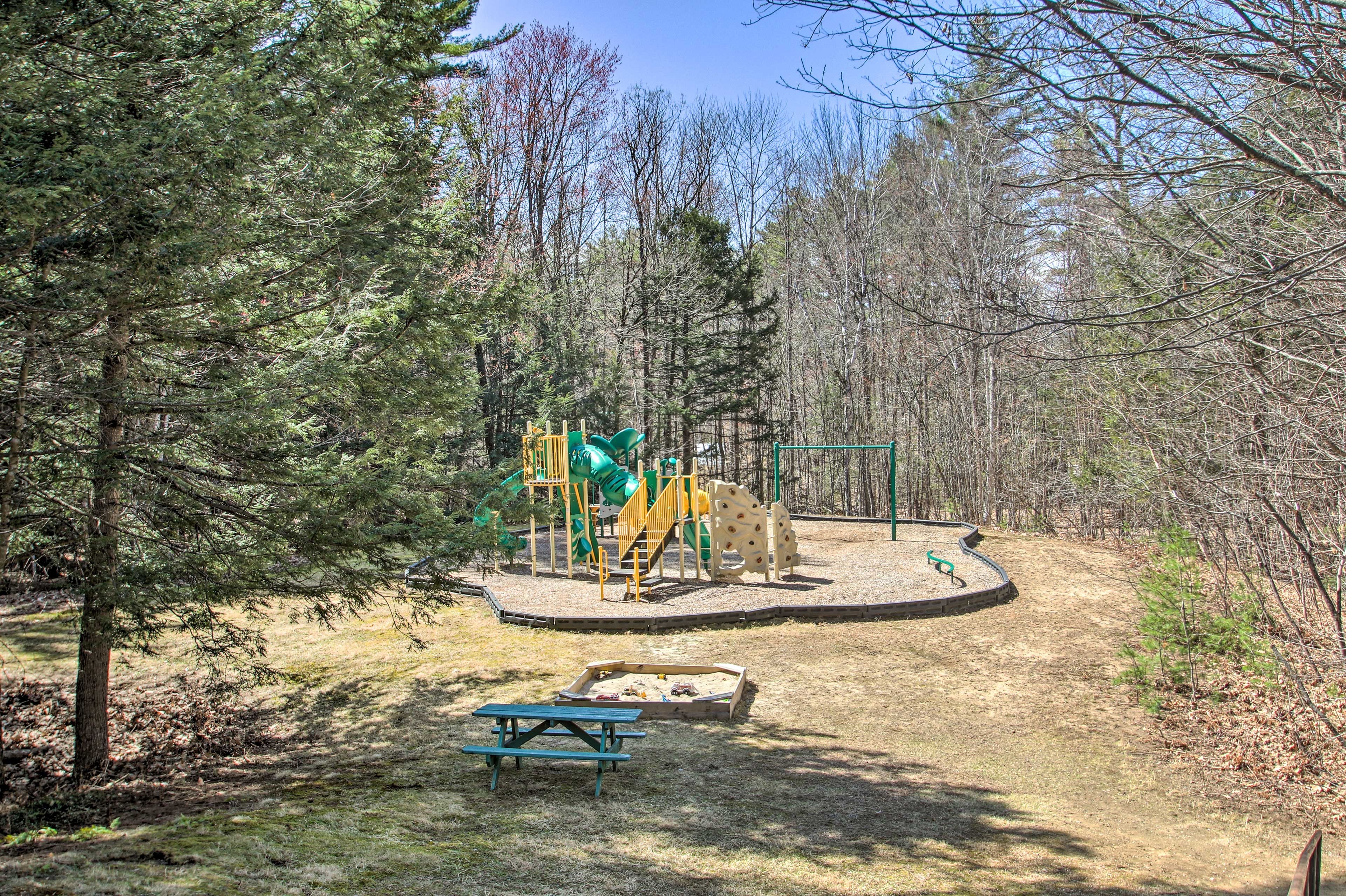 Image 45