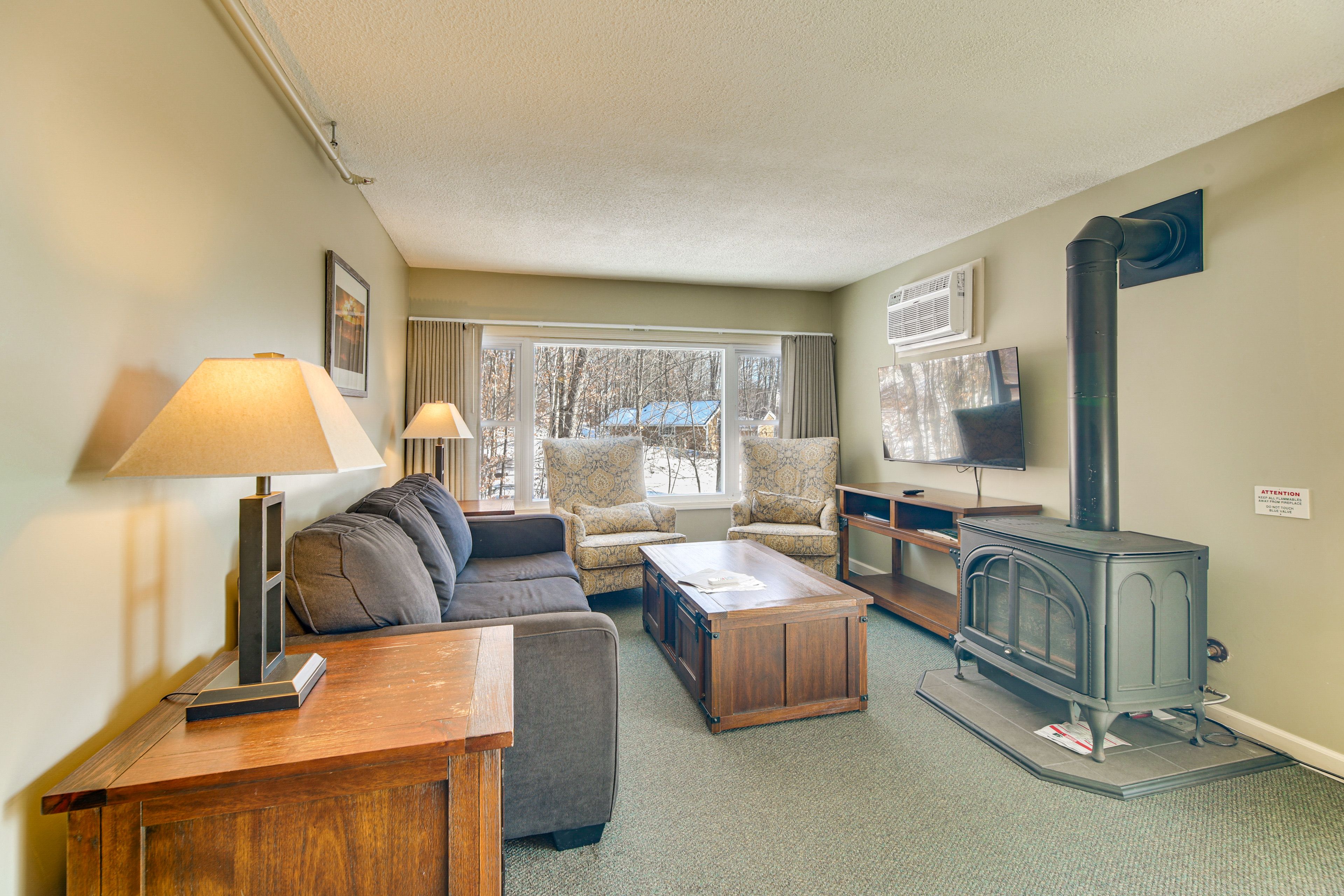 Living Room | Full Sleeper Sofa | Gas Wood Stove | Smart TV