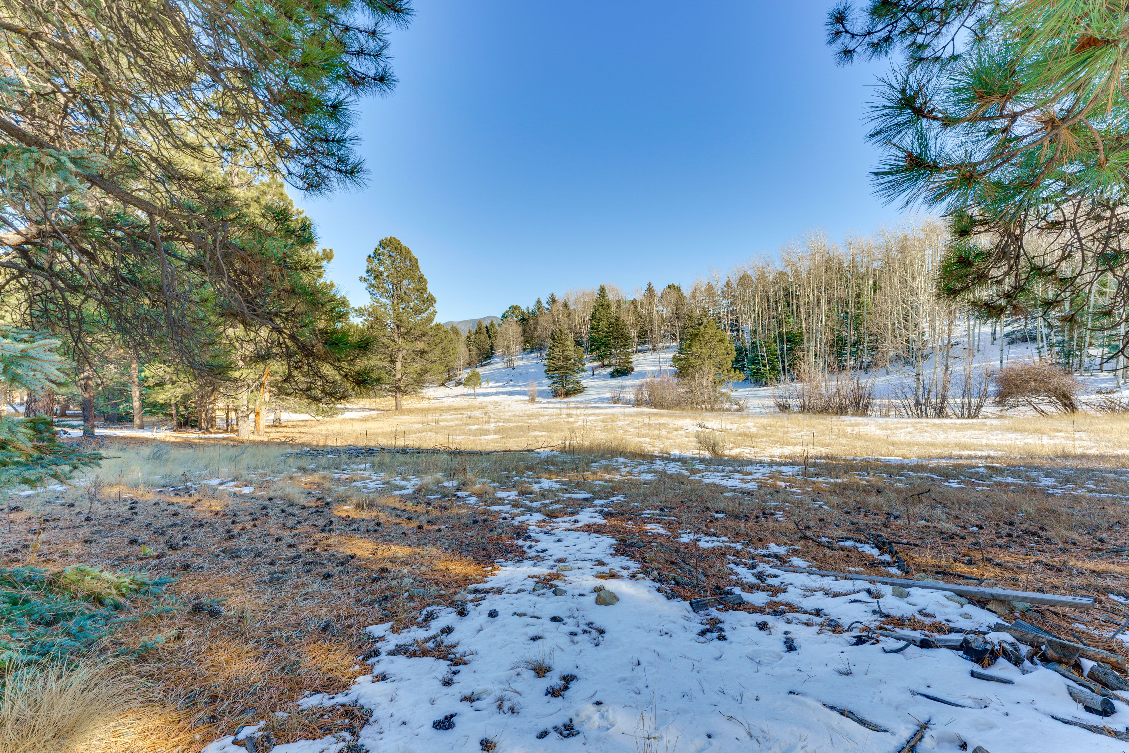 Shared 2-Acre Yard | Creek Access