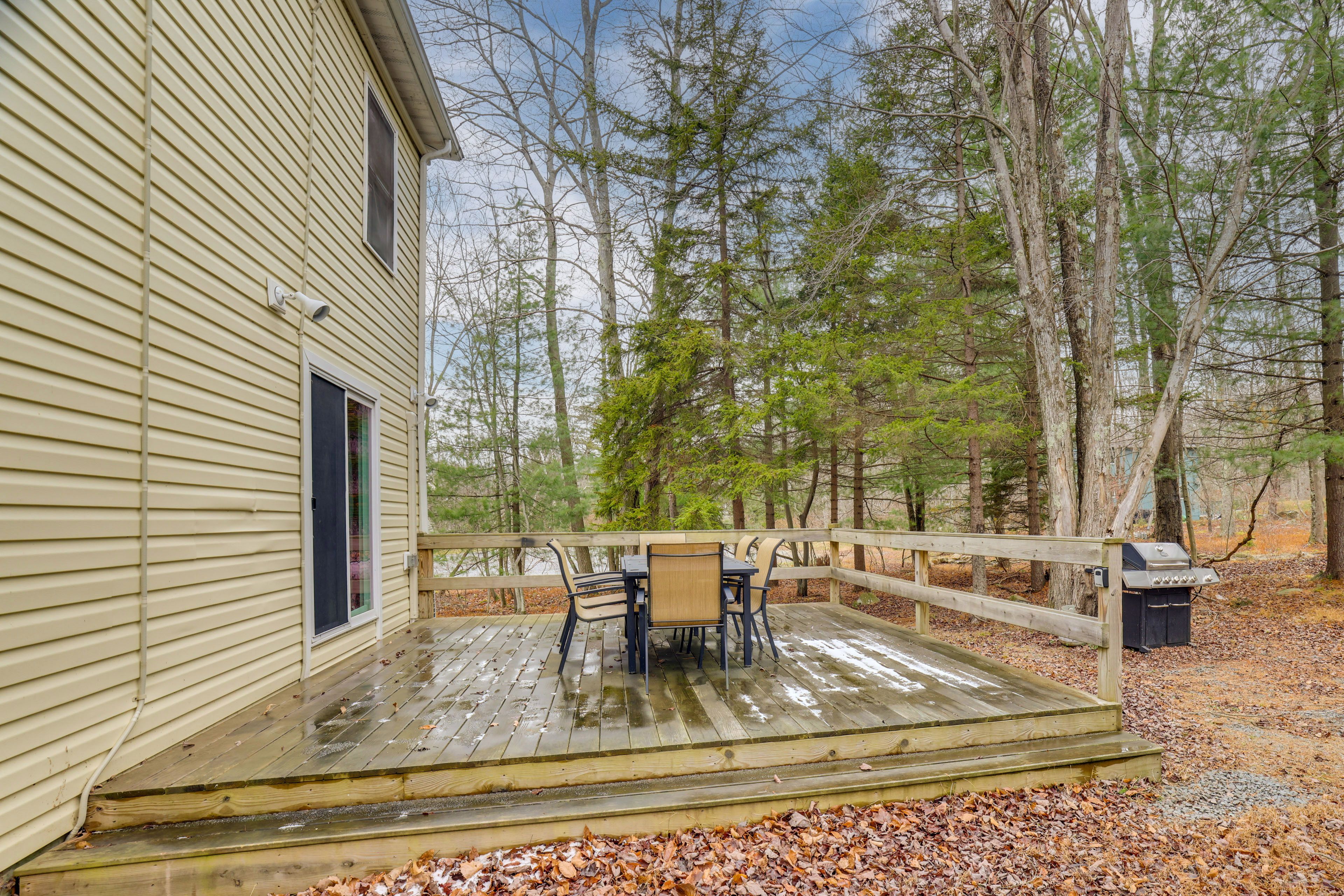 Back Deck | Gas Grill