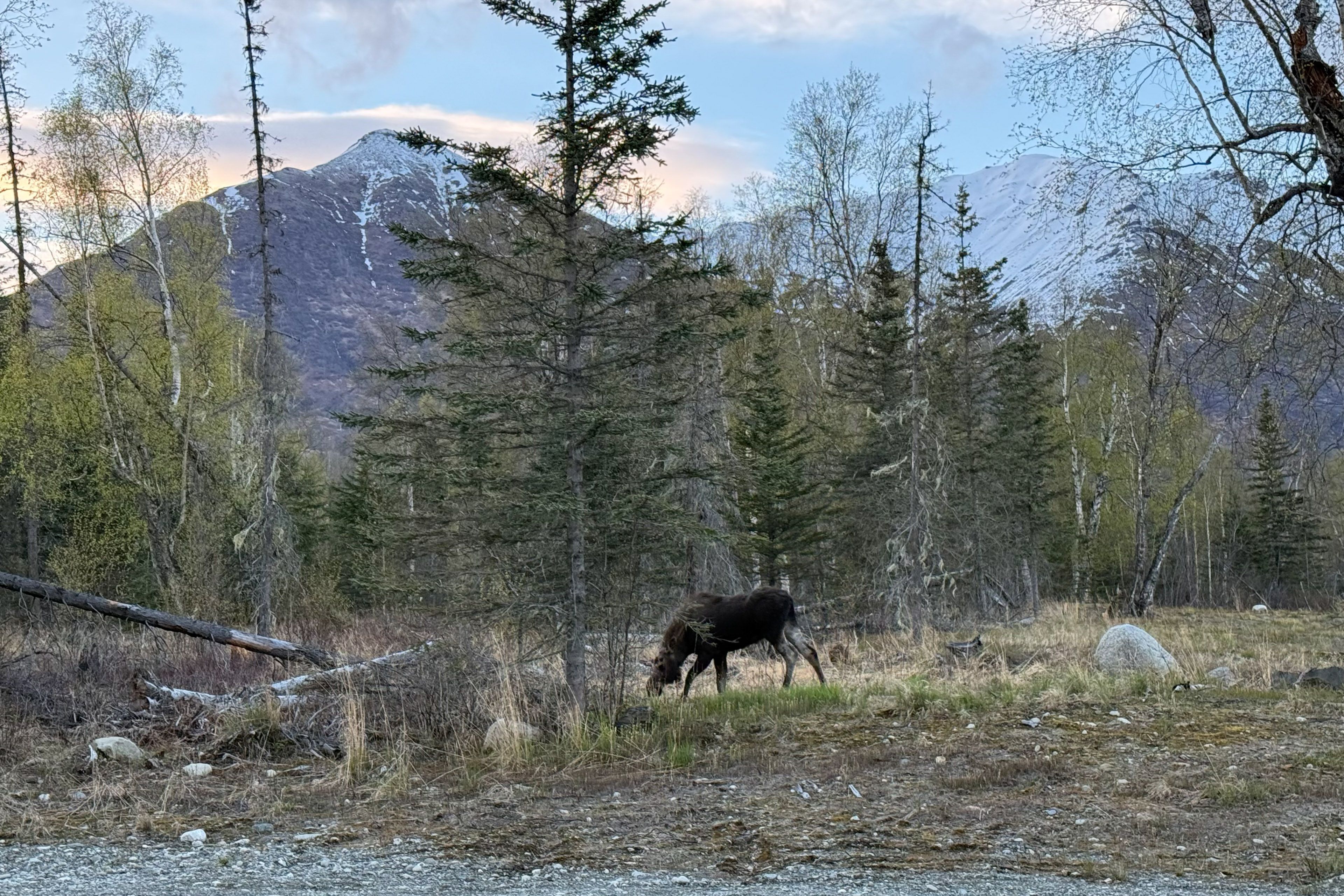 Winter Exteriors | Wildlife Sightings | Northern Lights Views