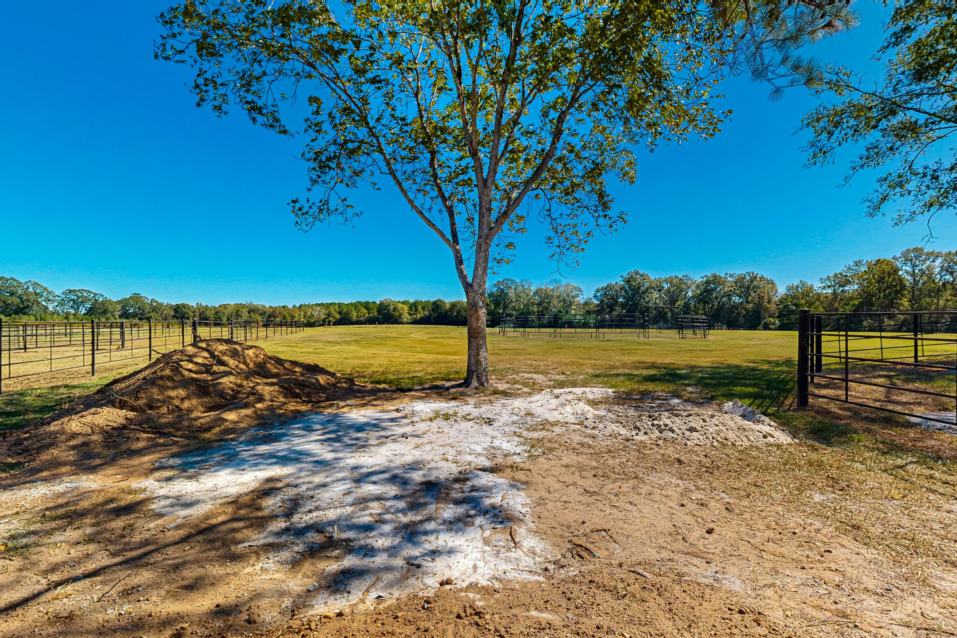 Property Surroundings