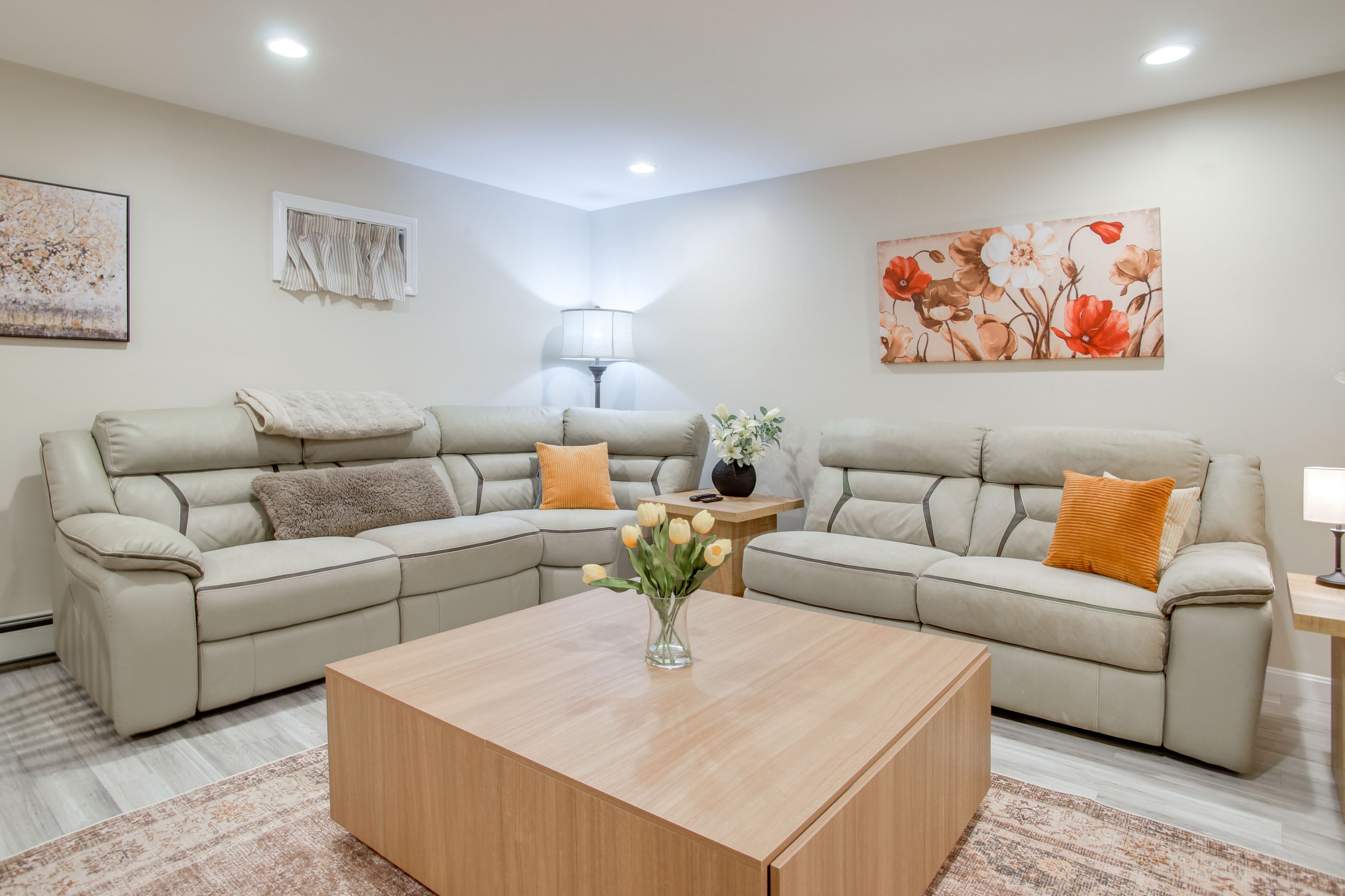 Lower-Level Living Room