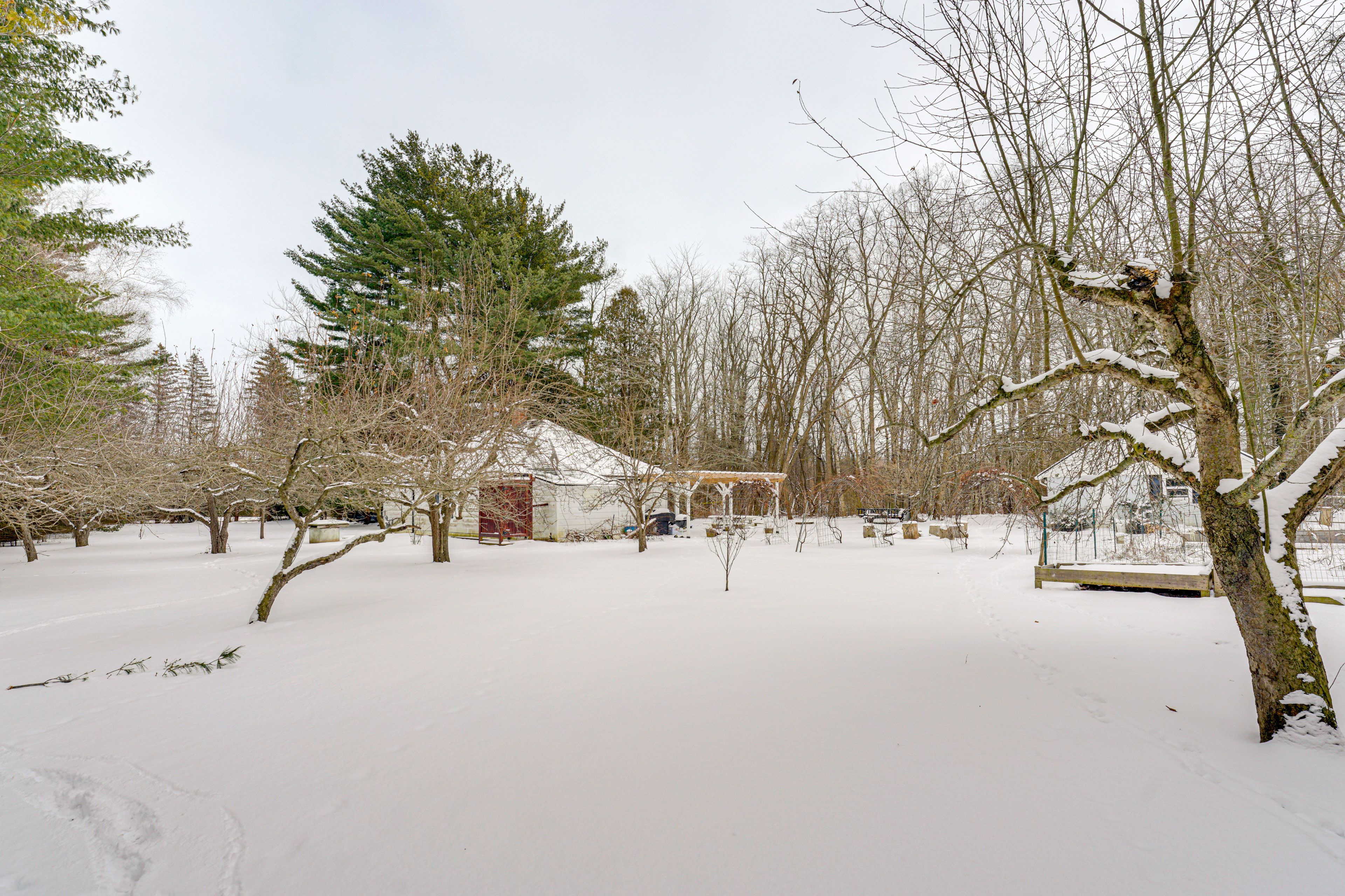 Parking | Driveway & Side Grass Area (4-6 Vehicles)