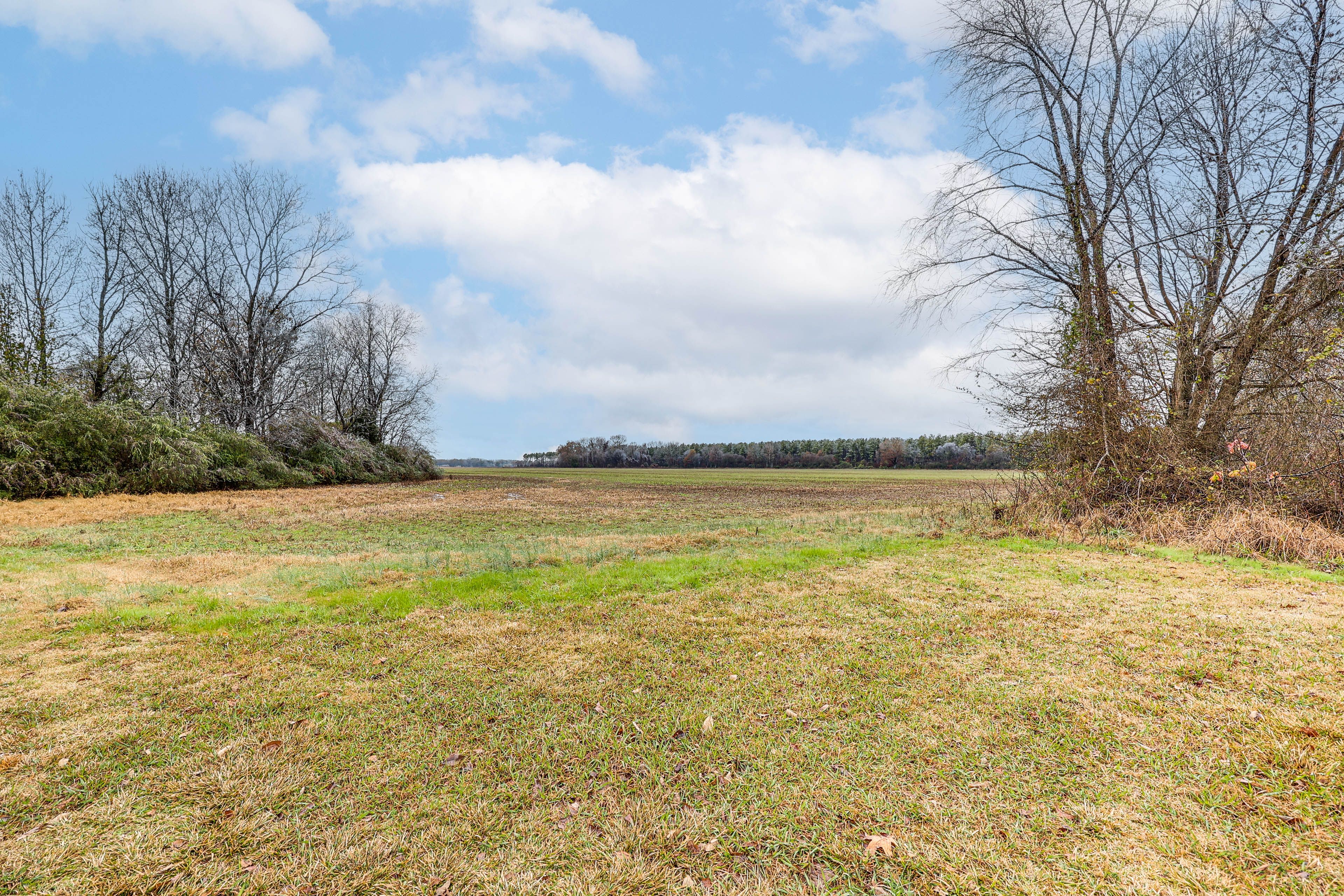 Spacious Yard | Hunters Welcome