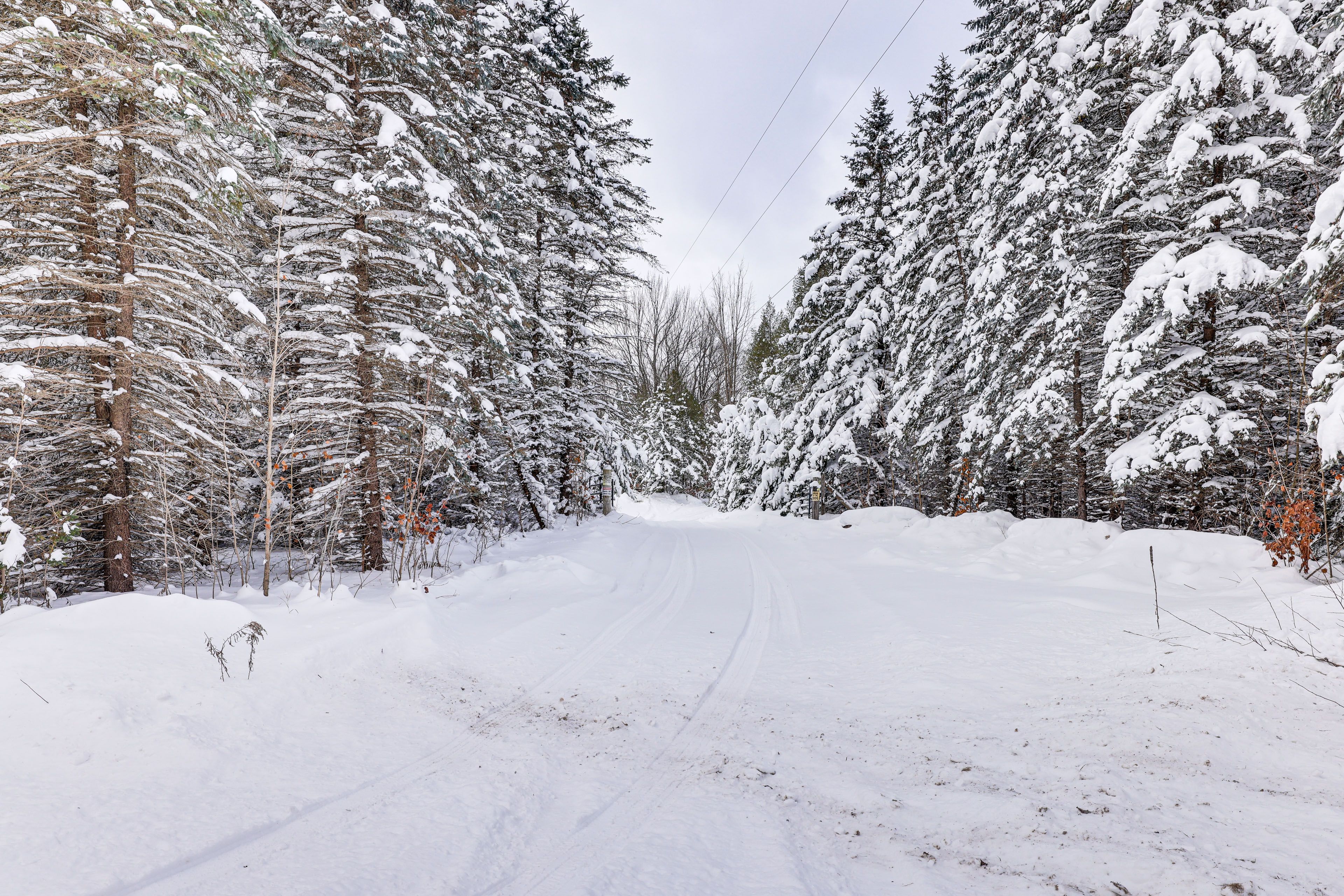 80 Acres | Recreational Trails (On-Site)