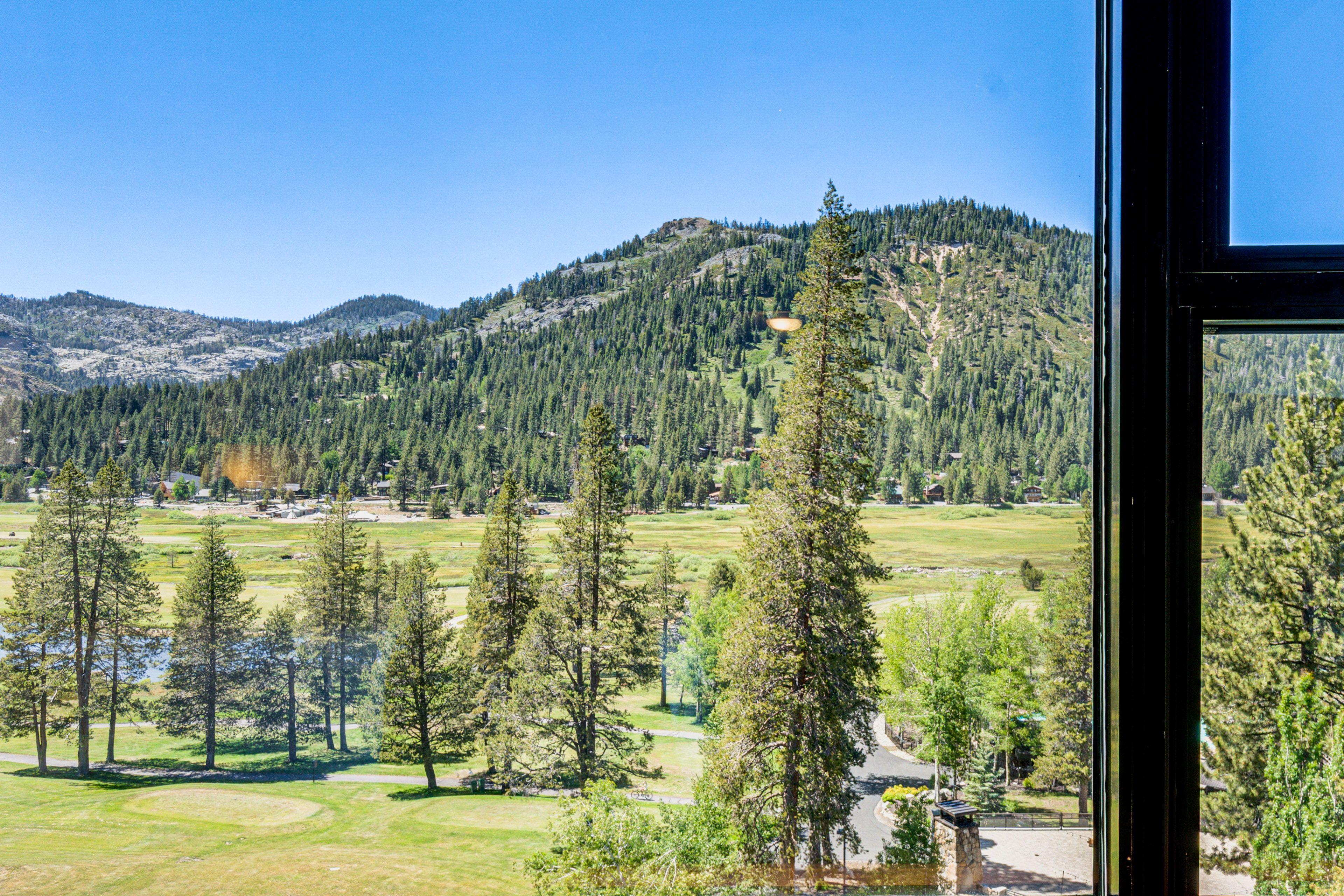 Valley Views