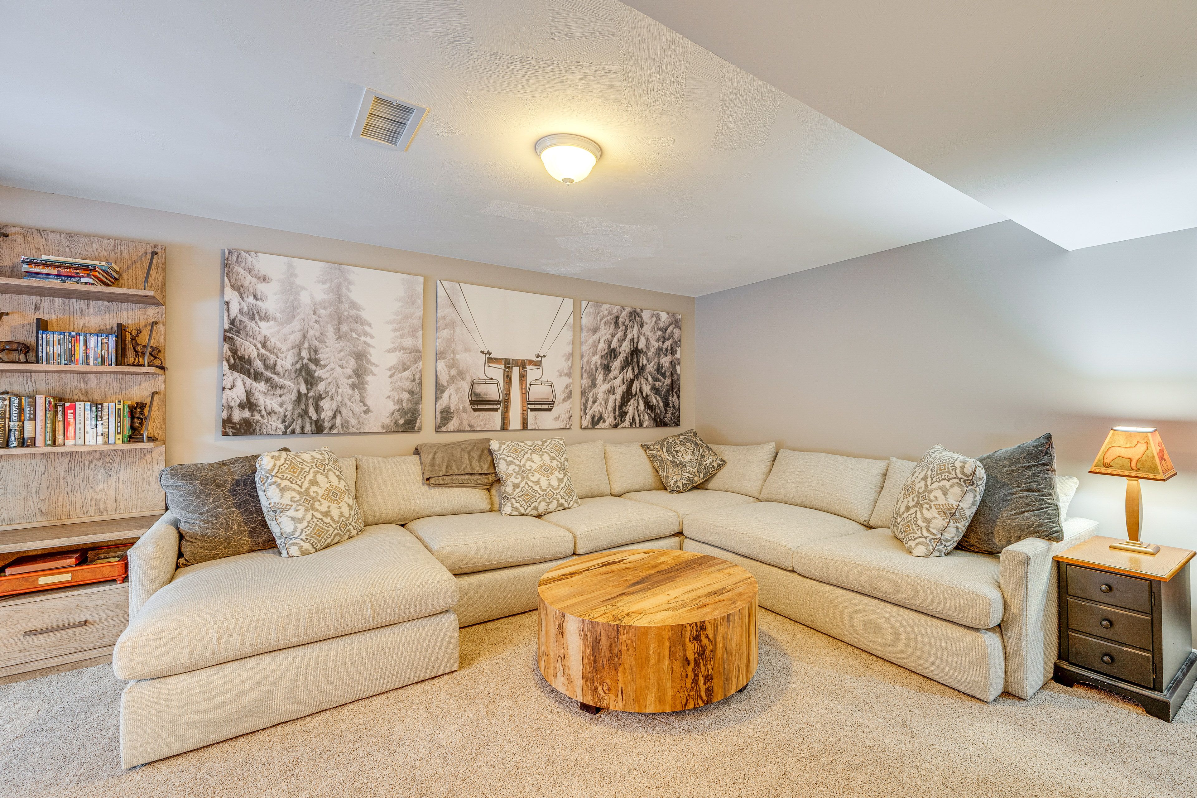 Downstairs Living Room | Lower Level