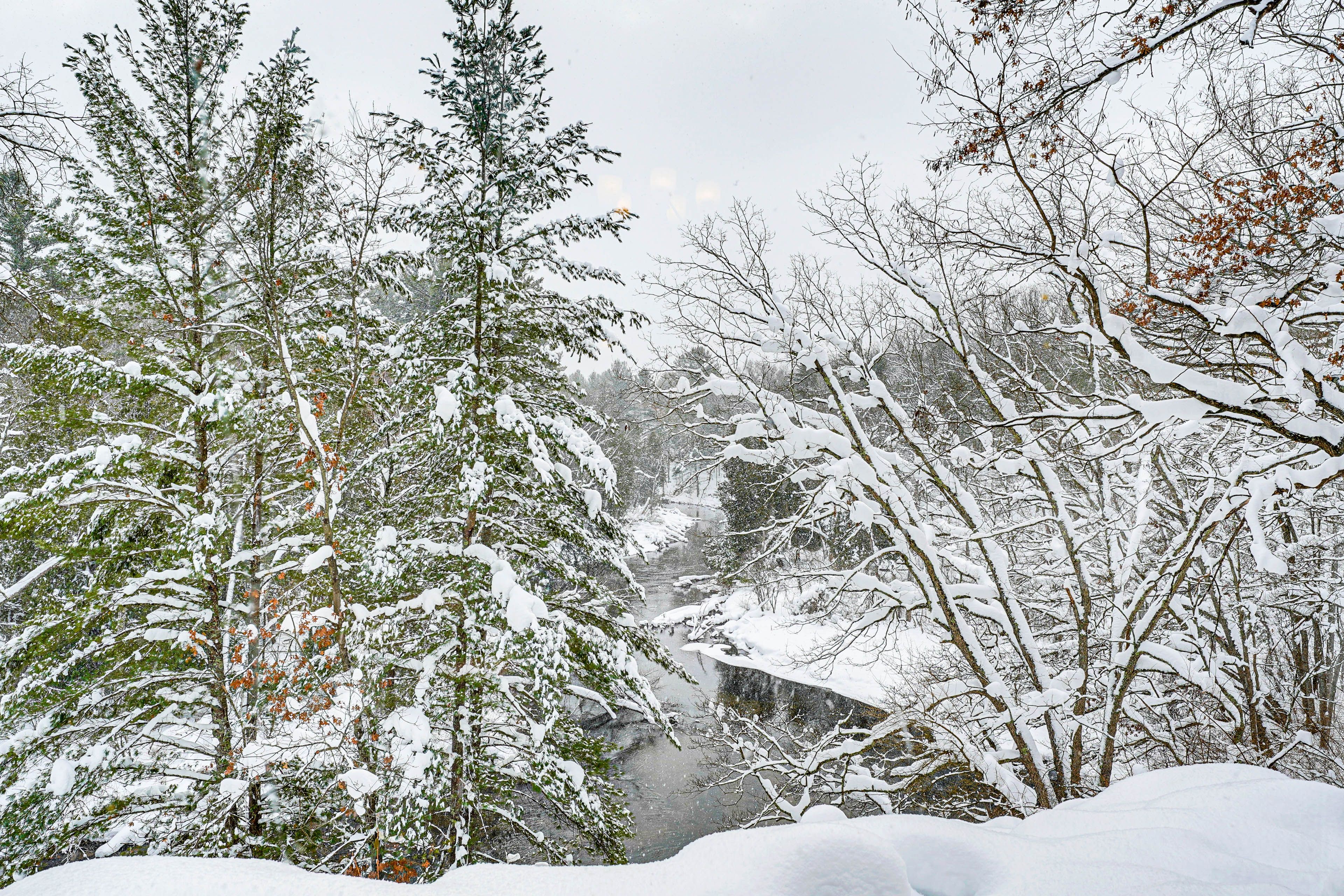 Pere Marquette River Views
