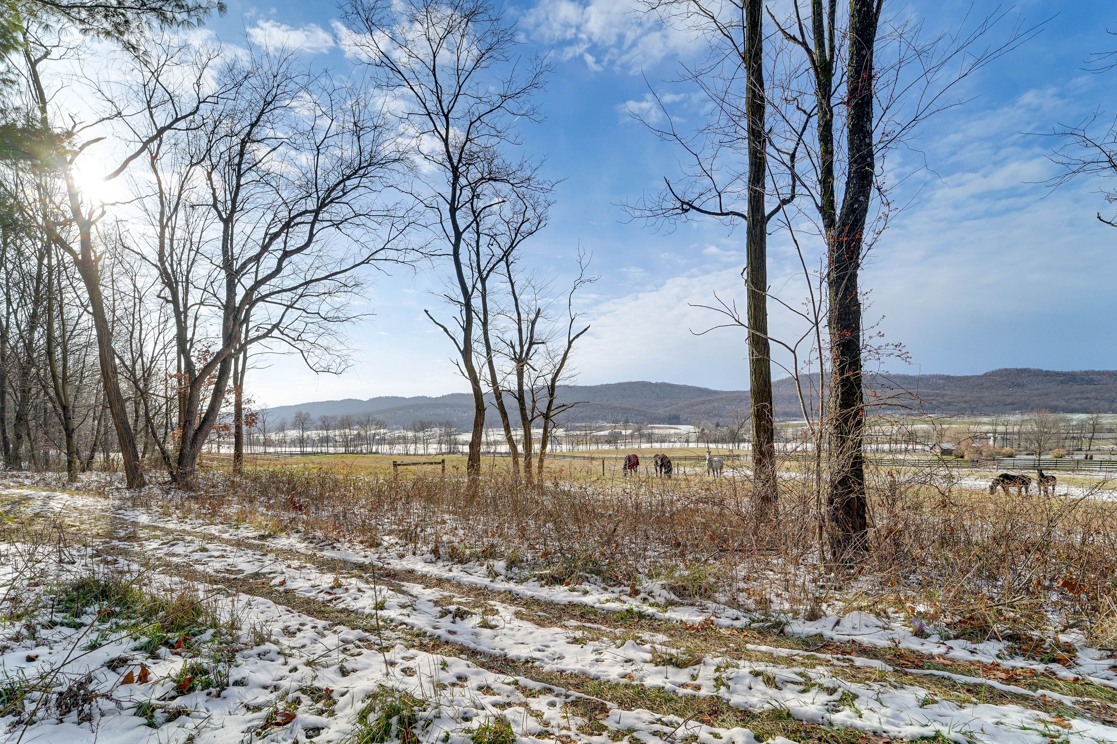 Horse Farm Location | Views From Property