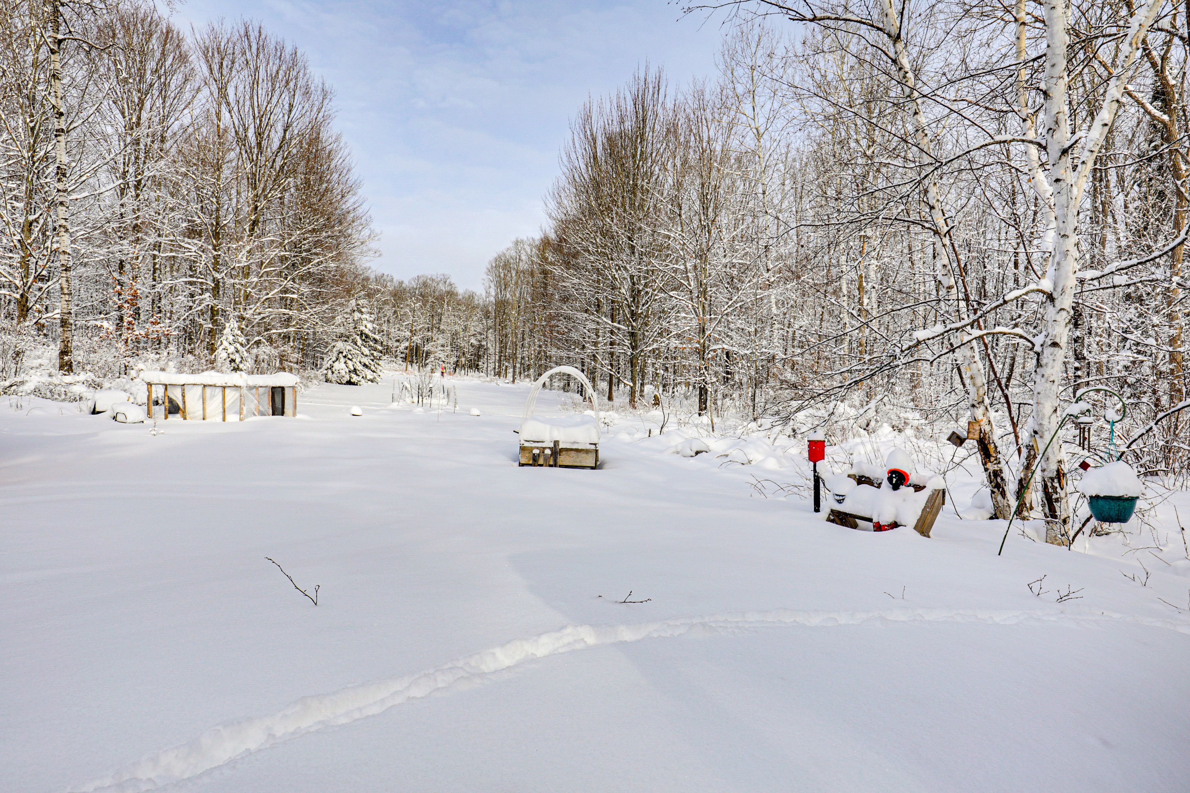 Spacious Yard | Canoe w/ Trailer