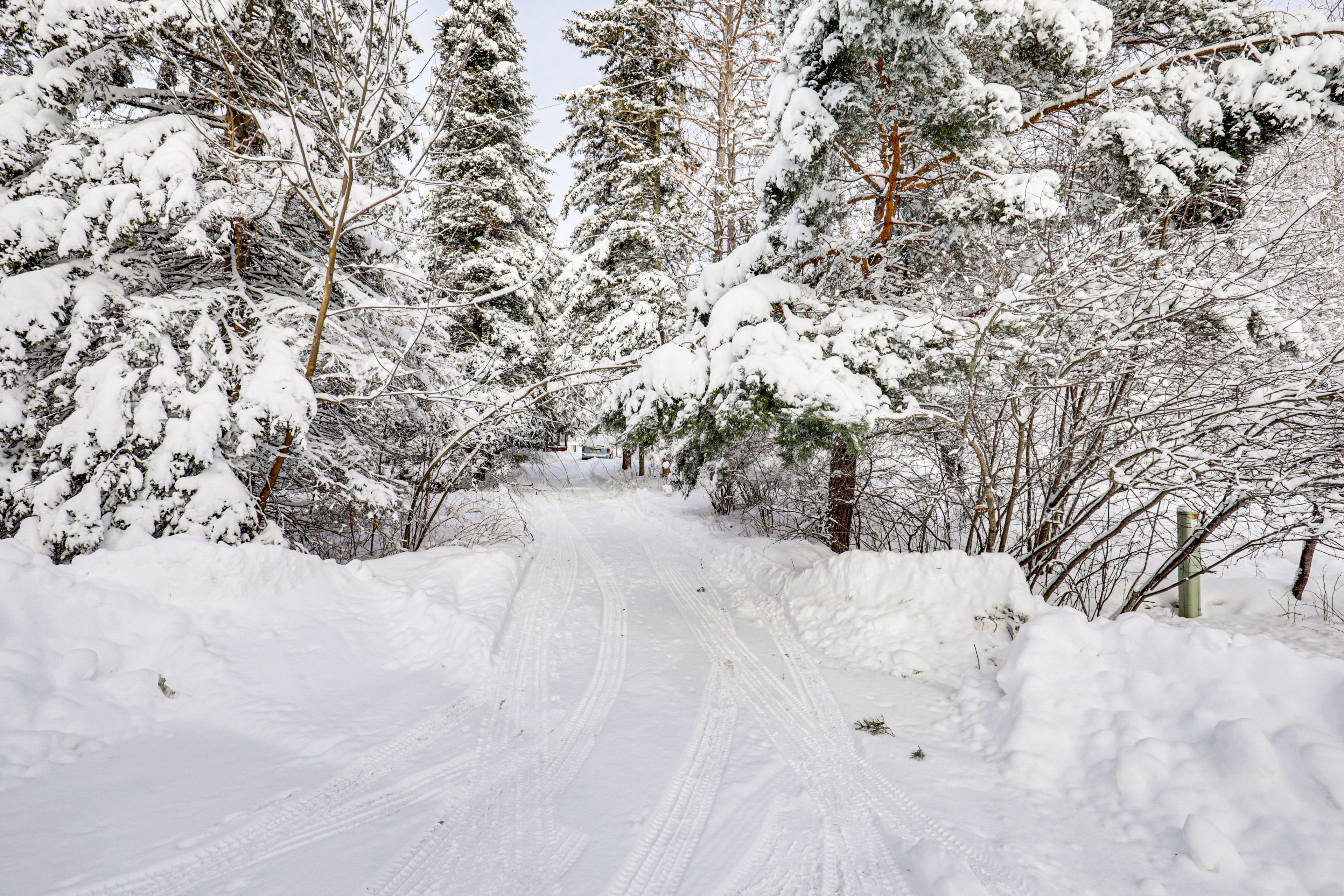 Parking | Driveway (2 Vehicles)