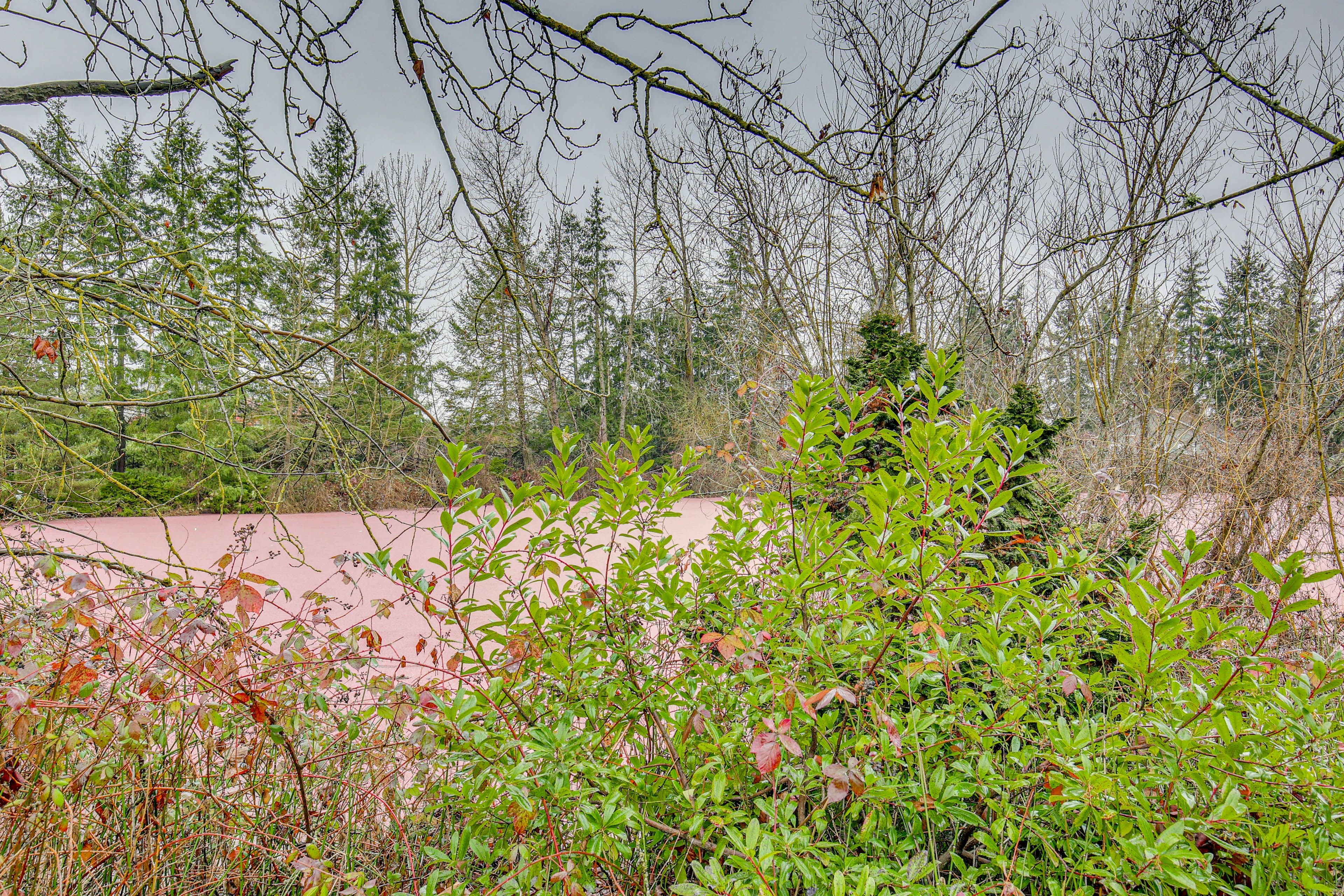 Walk to Rainbow Lake