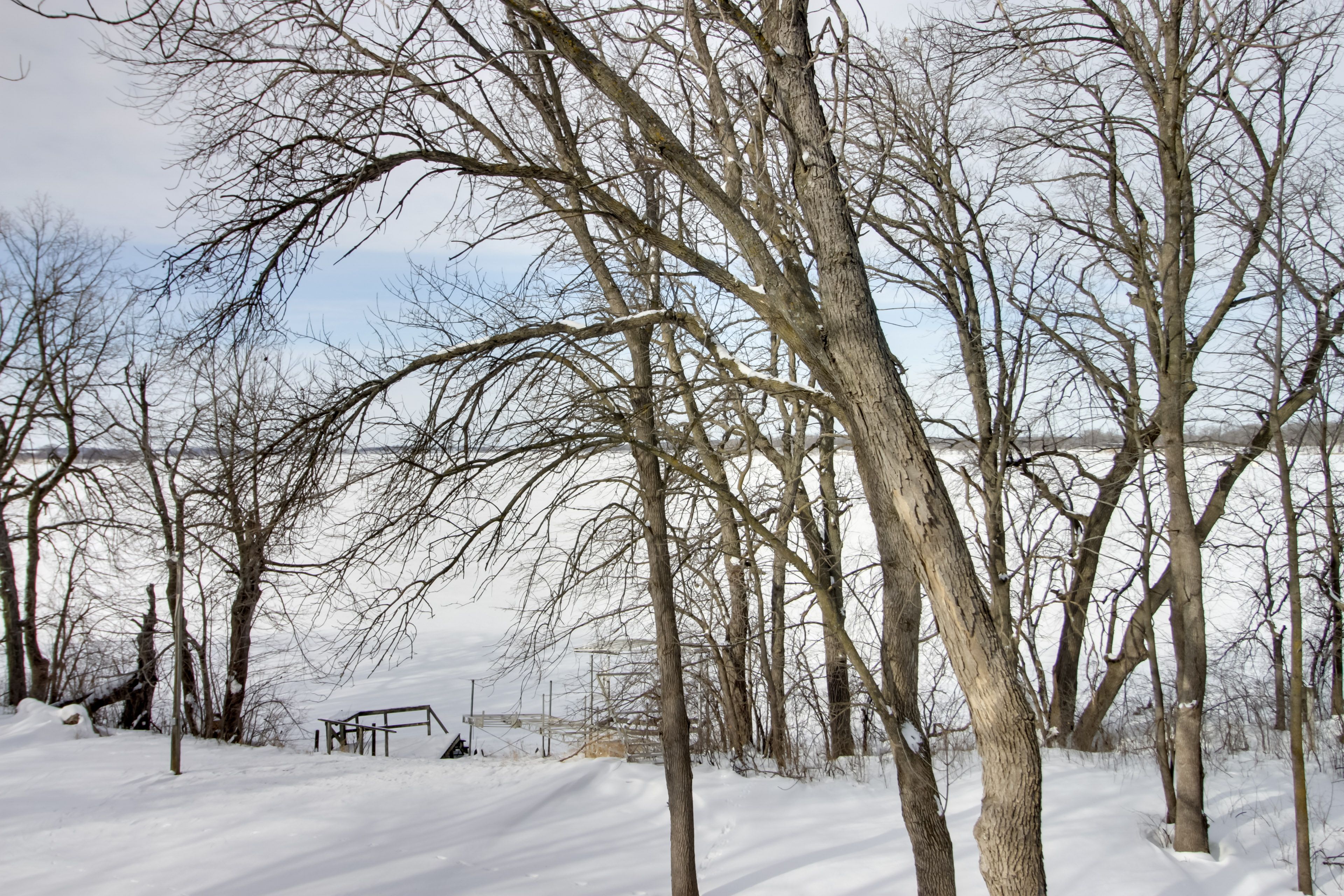 Shared Outdoor Space | Lakefront