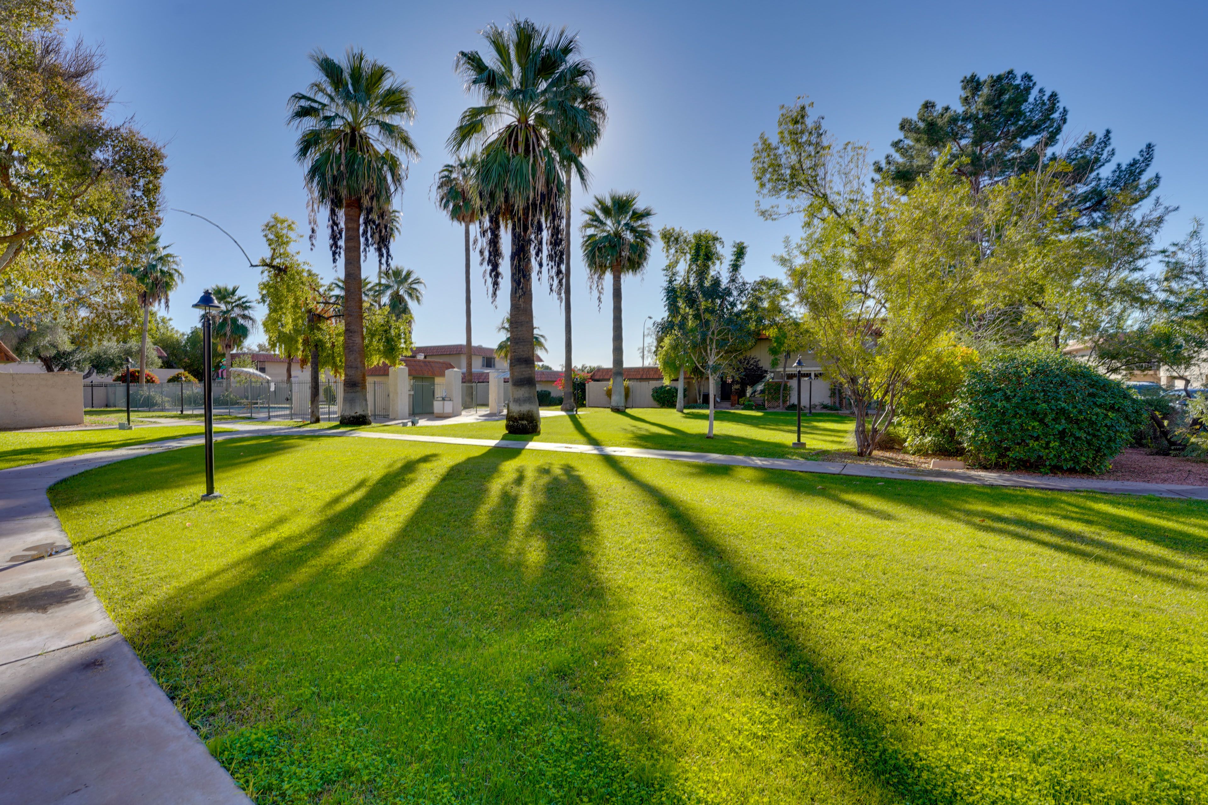 Surrounding Area | The Lake Villas Community