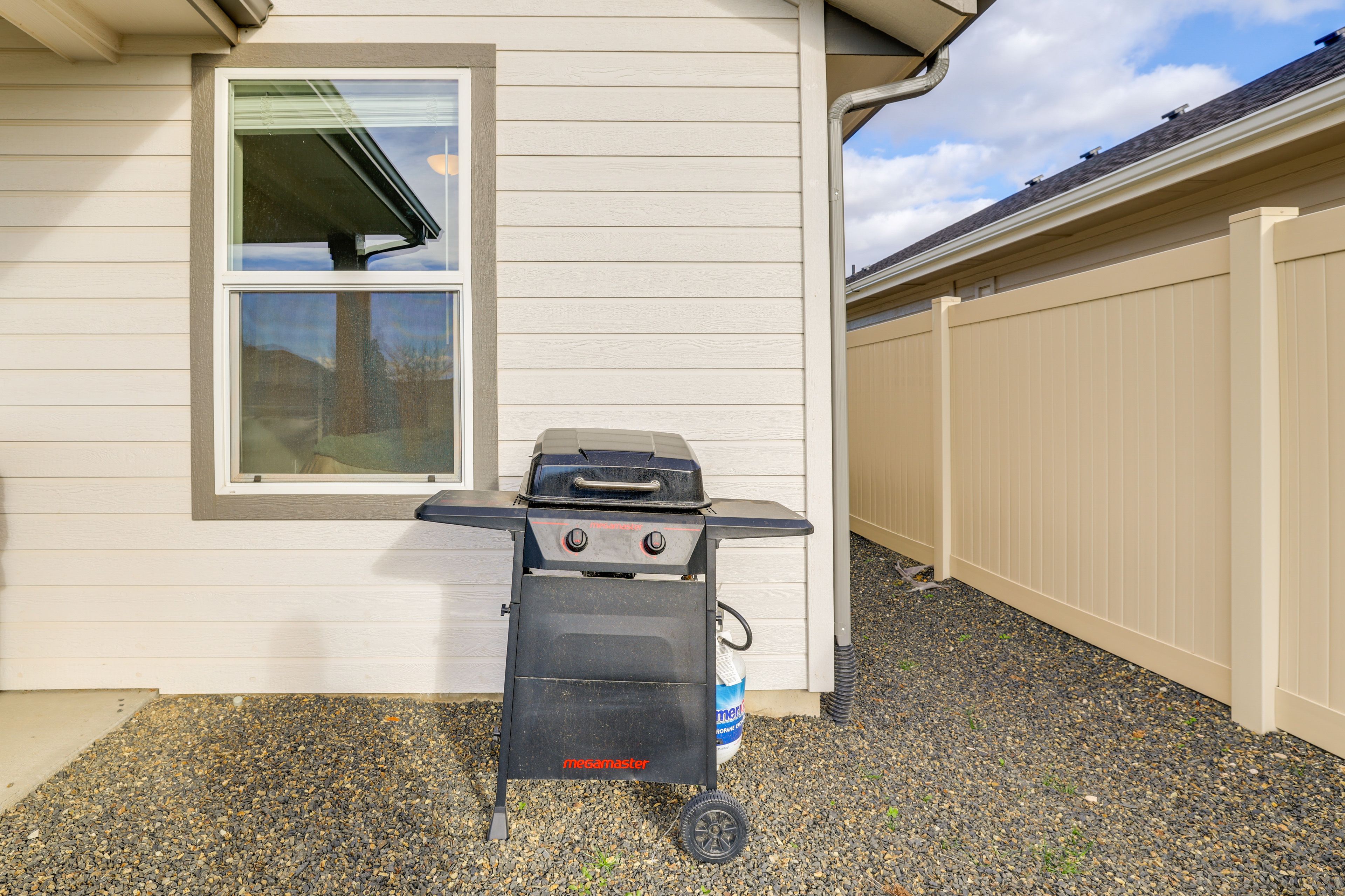 Backyard | Gas Grill