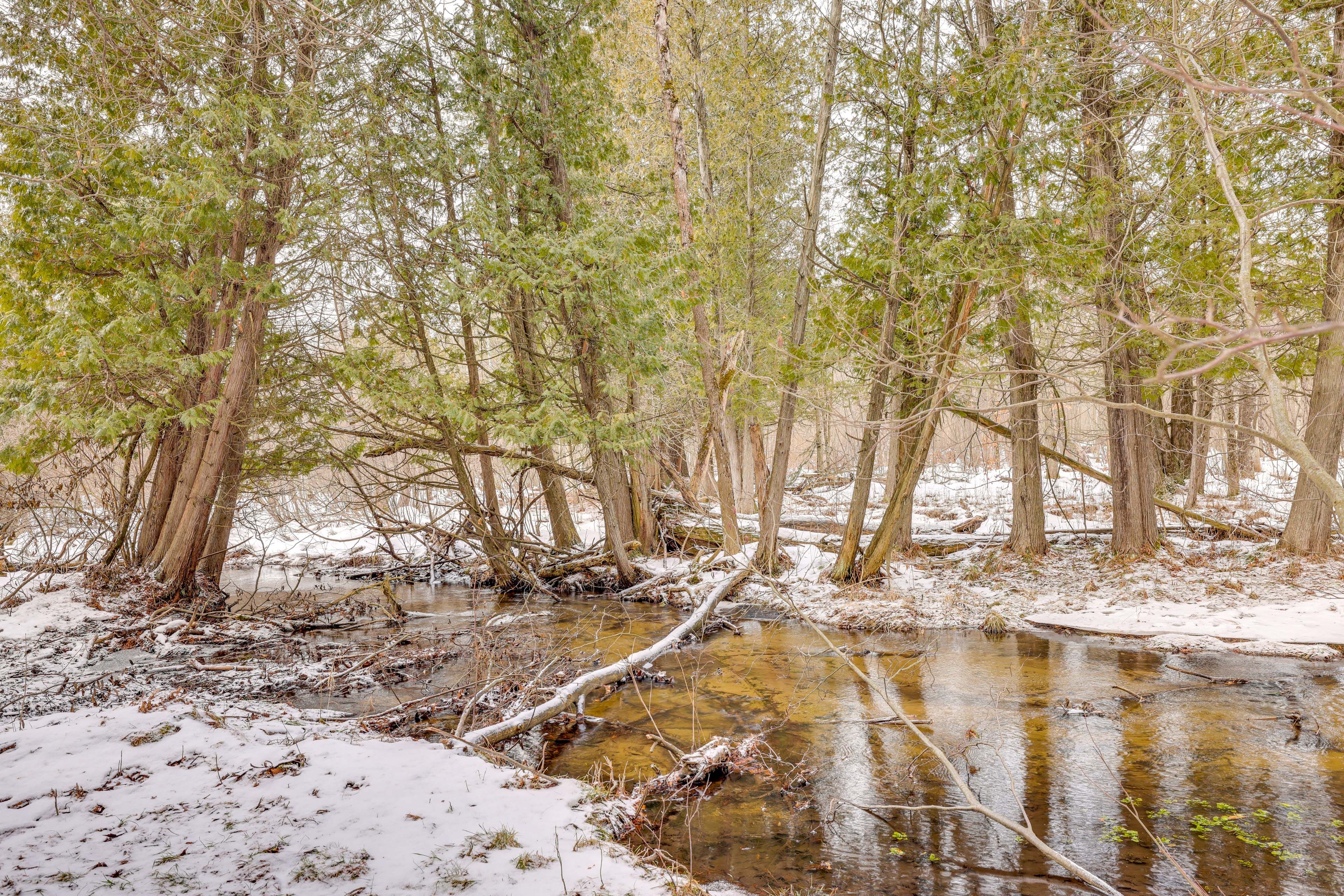 On-Site Trout Stream & Hiking Trails
